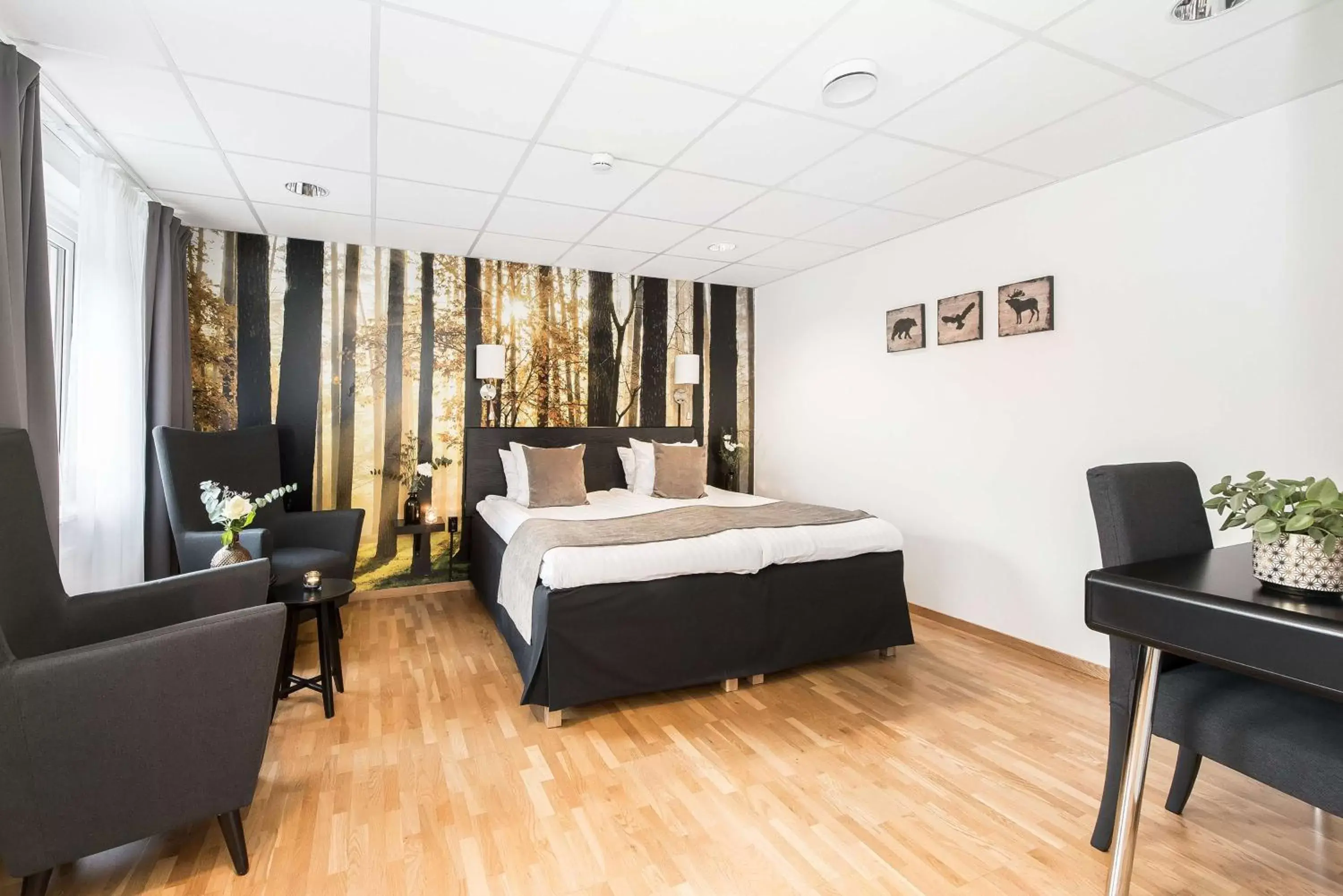 Photo of the whole room in Best Western Hotel City Gavle