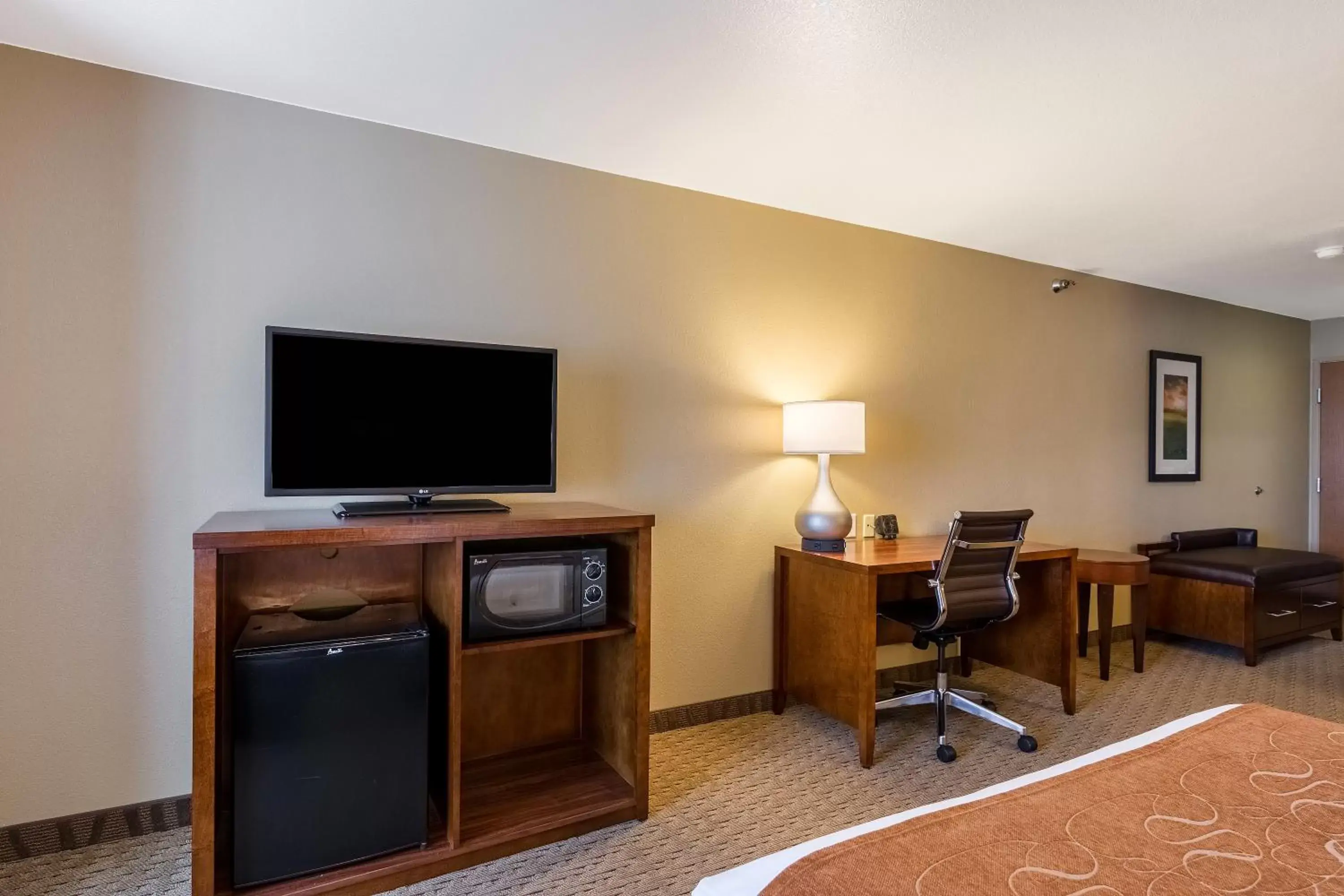 Guests, TV/Entertainment Center in Comfort Suites Burlington