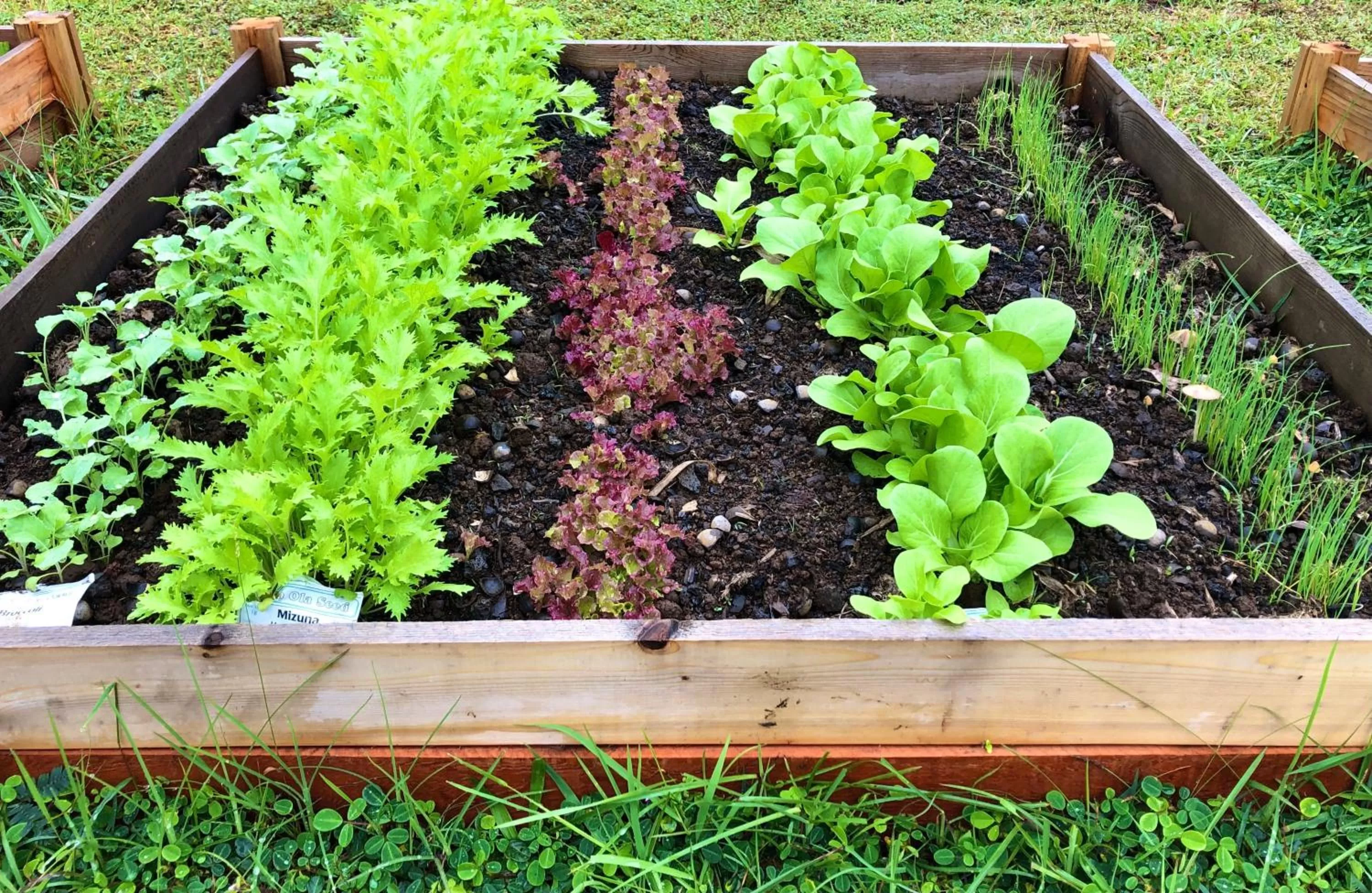 Volcano Eco Retreat by Heart Core Hotels - Adults Only