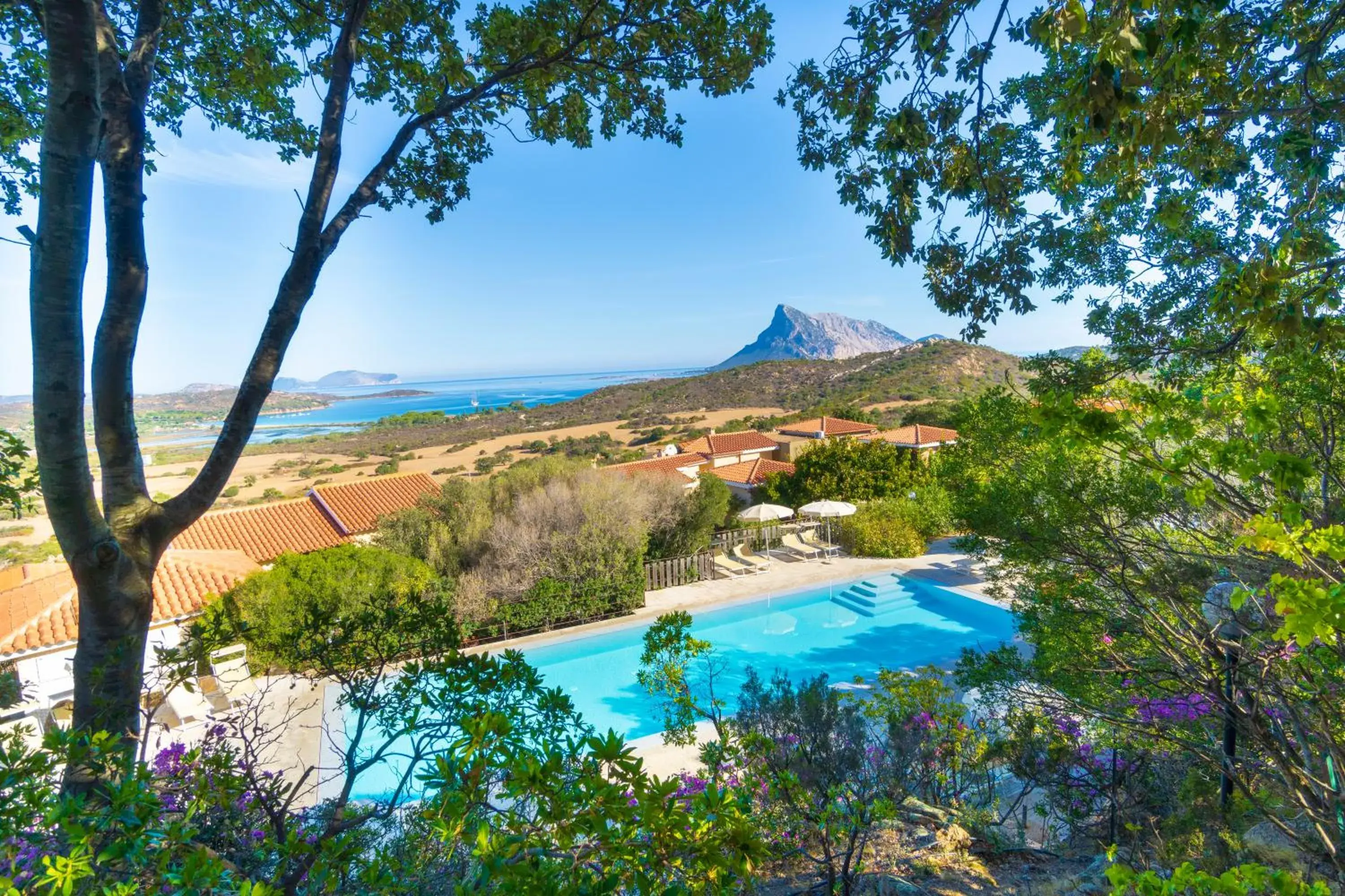 Swimming pool in Residence Hotel Lu Nibareddu Swimming pool in Residence Hotel Lu Nibareddu