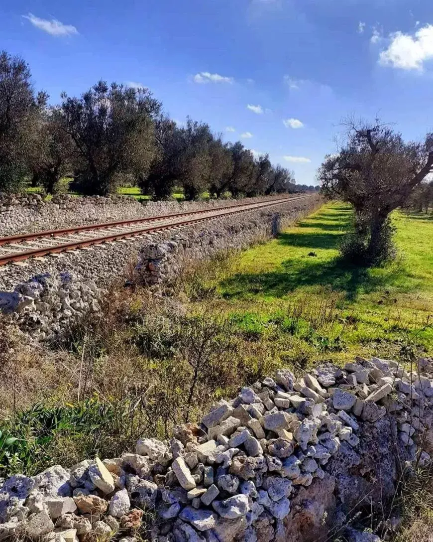 Natural landscape in Relais Casina Copini