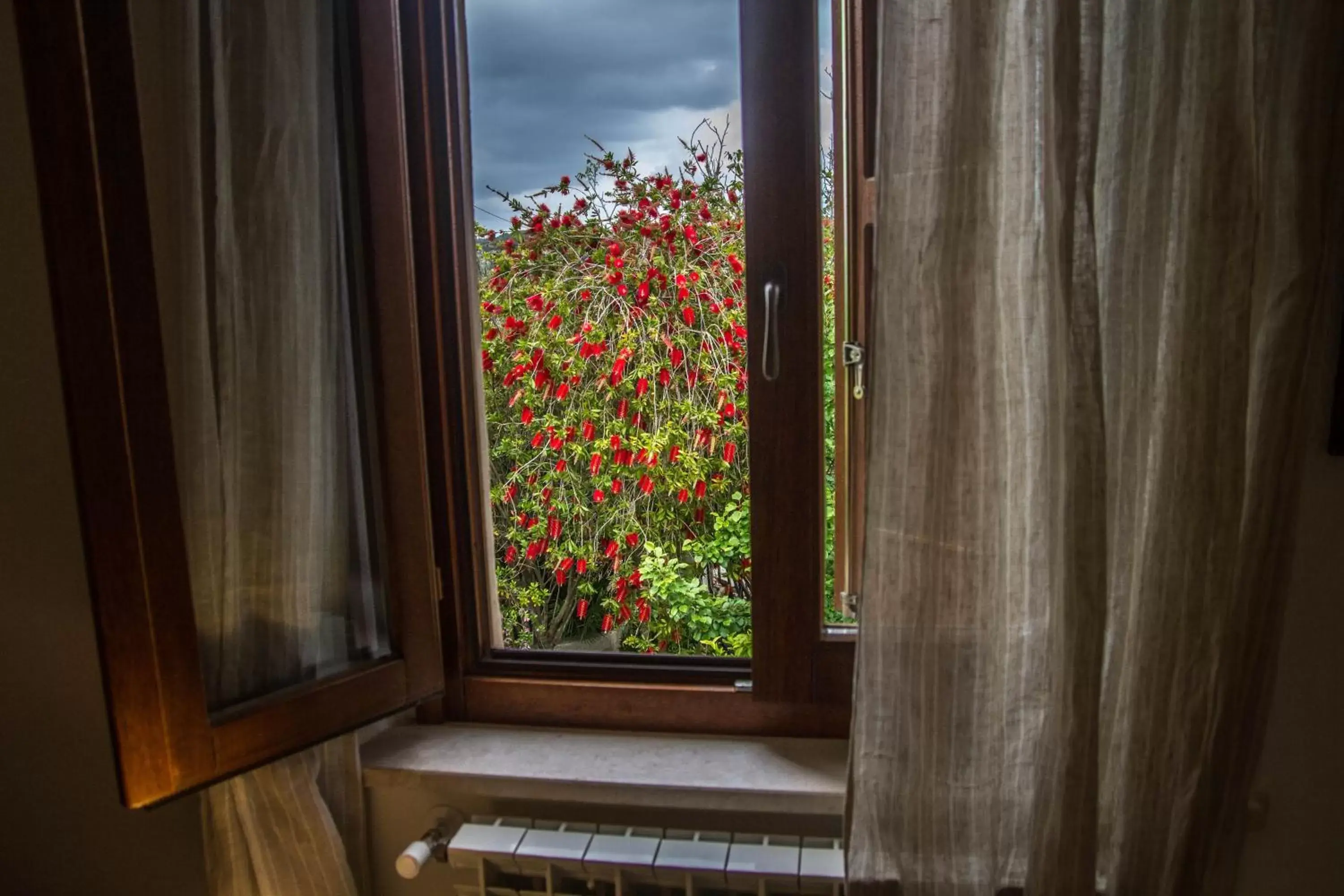 Garden view, View in Alghero in bicicletta