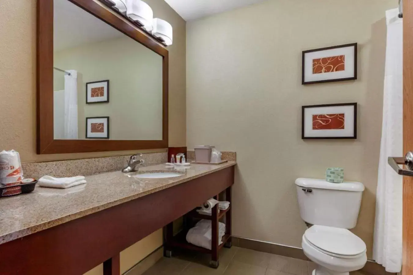 Bathroom in Comfort Suites Elgin