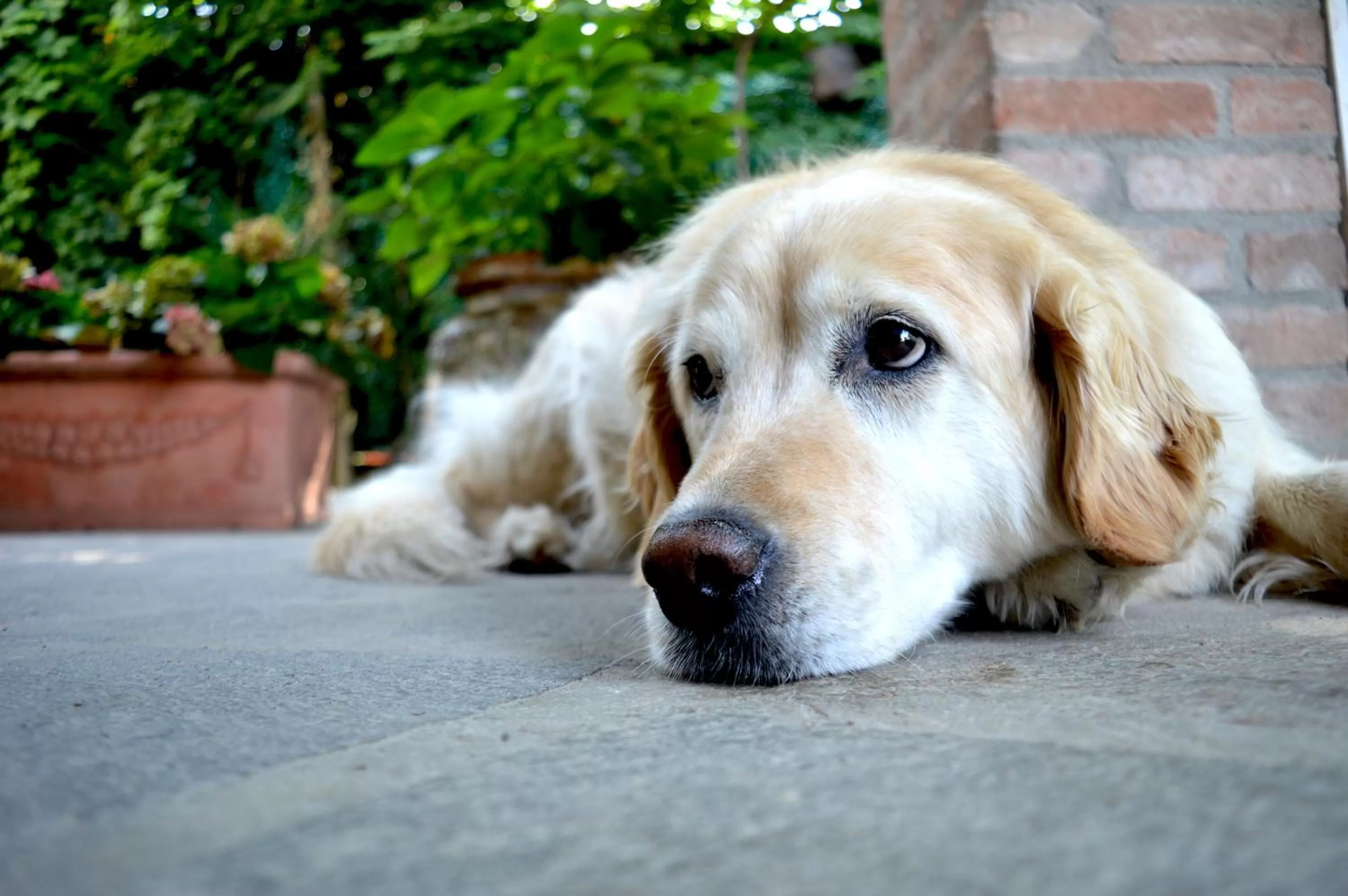 Decorative detail in B&B Casa Camilla