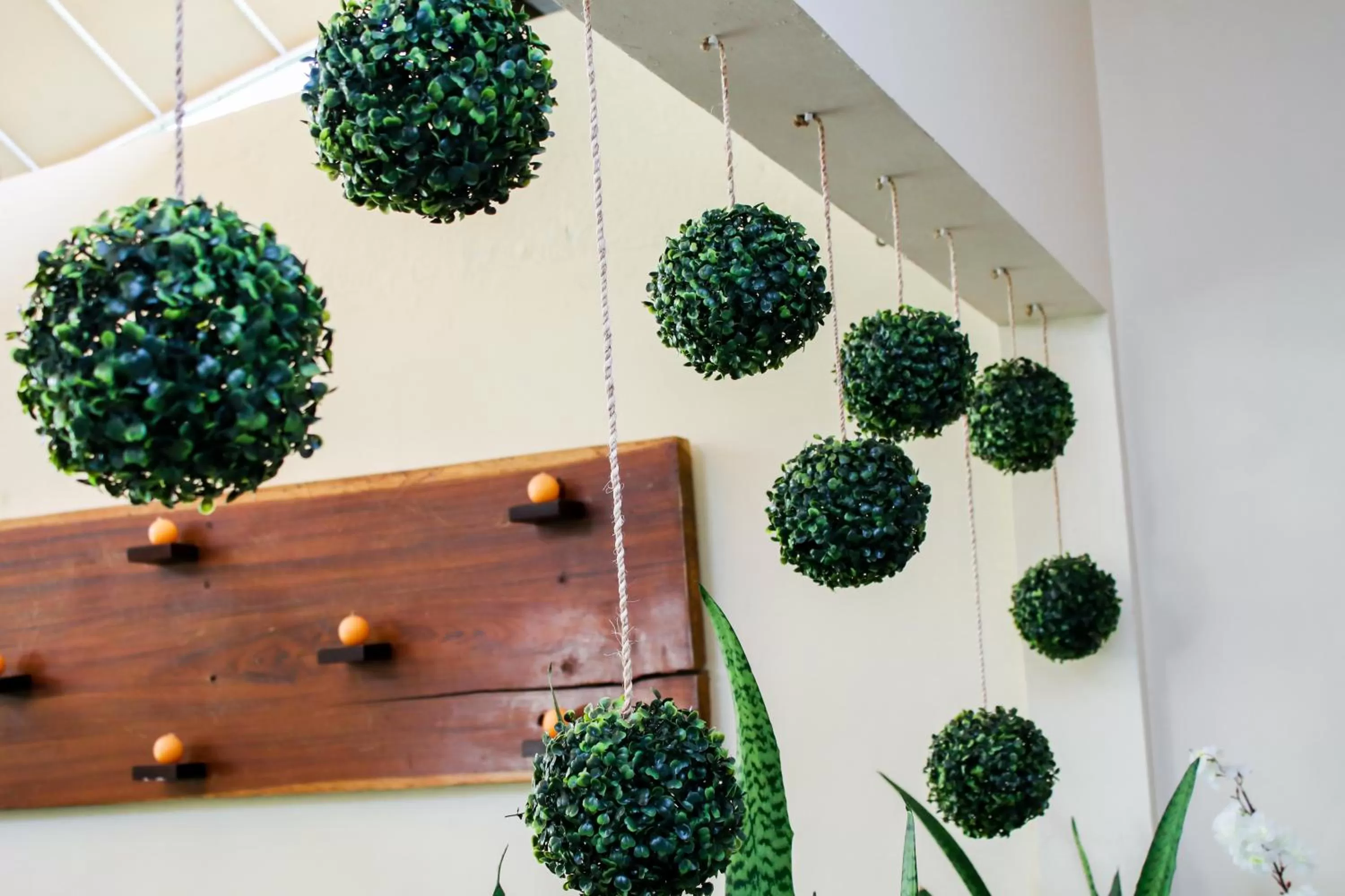 Las Magnolias Hotel Boutique