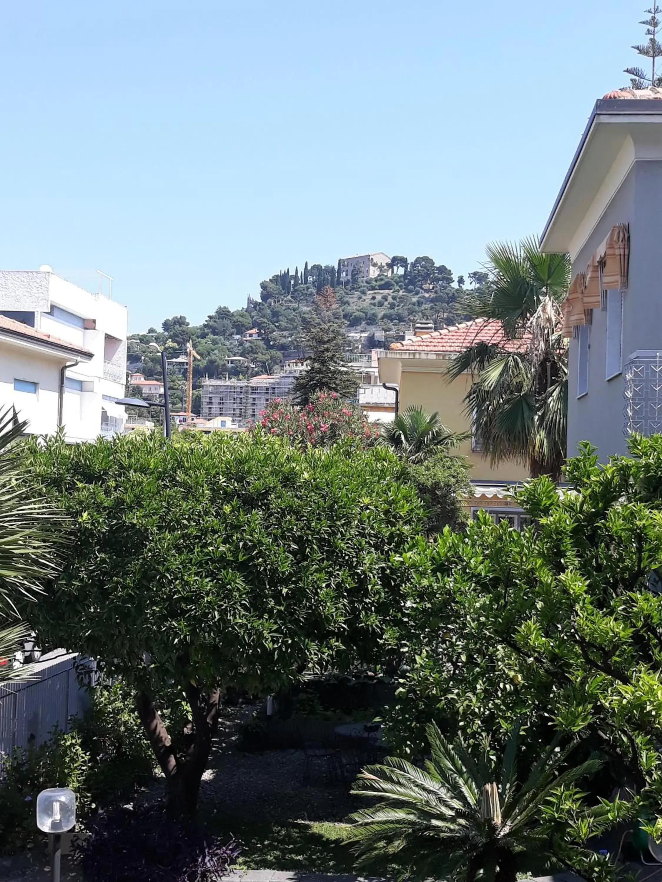Garden view in Hotel Villa MIKI