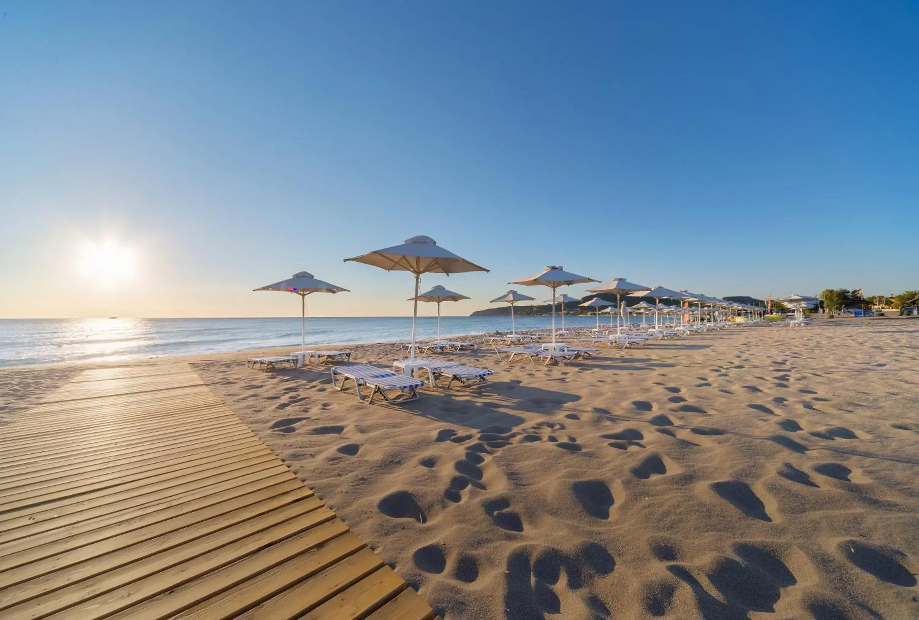 Beach in Apollo Blue