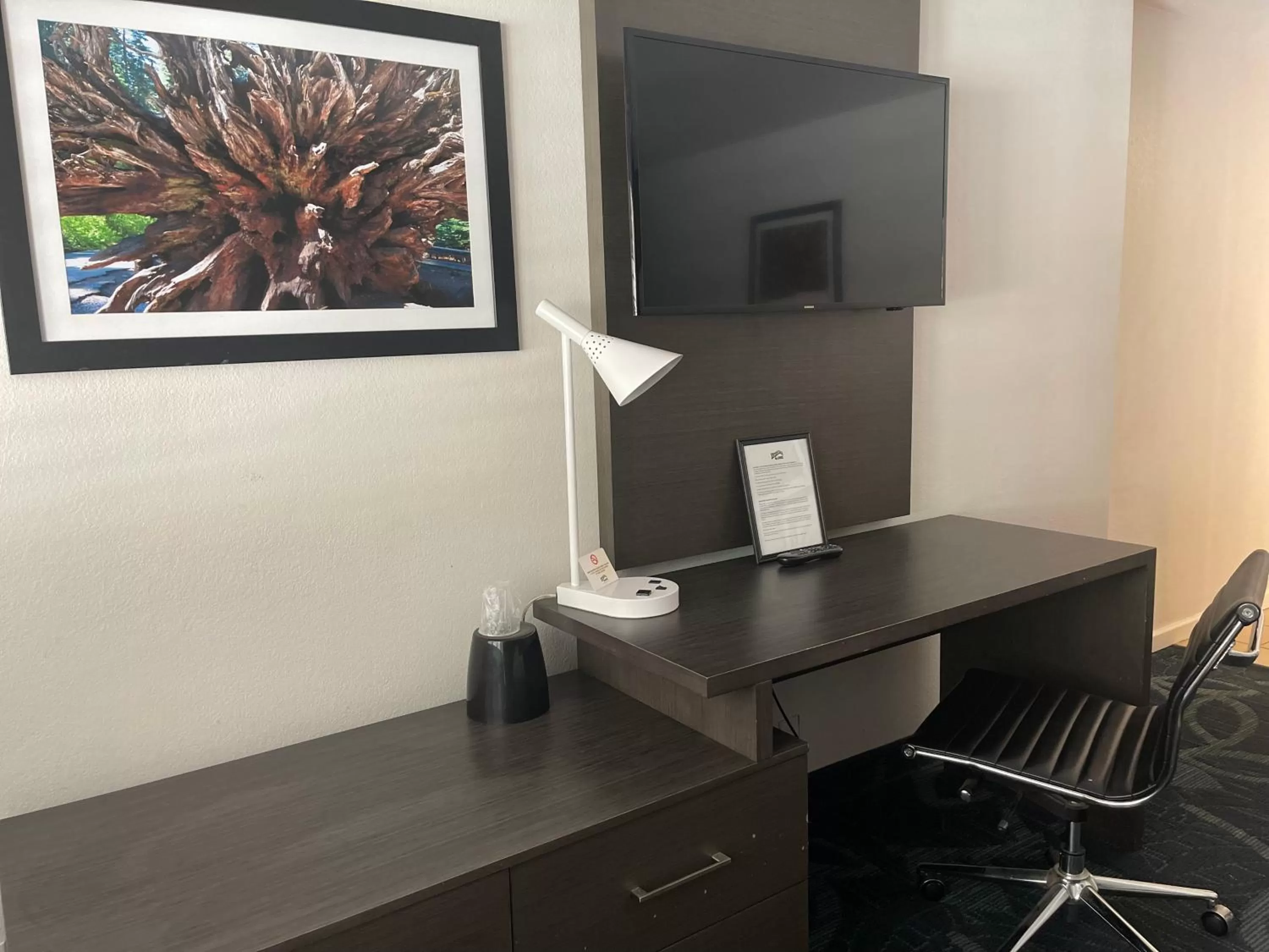 TV and multimedia in The Historic Brookdale Lodge, Santa Cruz Mountains