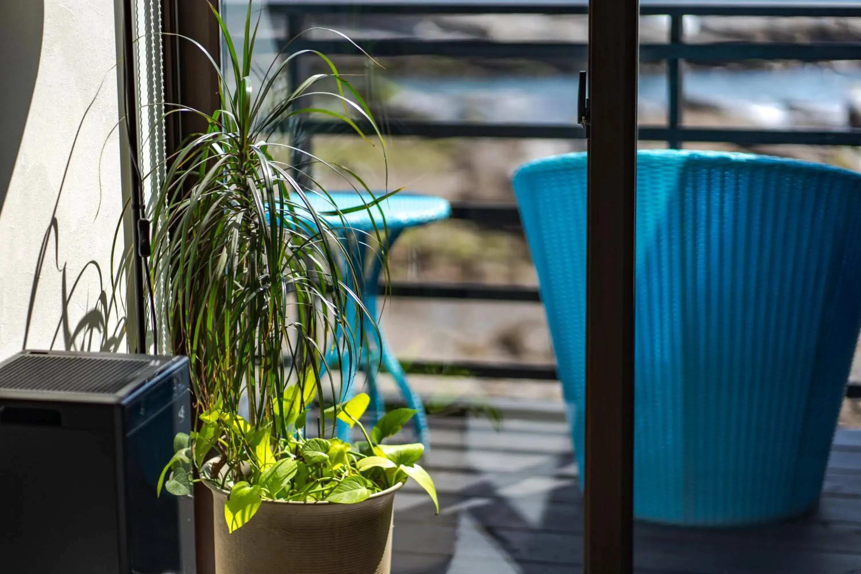 Balcony/Terrace in XYZ Private Spa and Seaside Resort