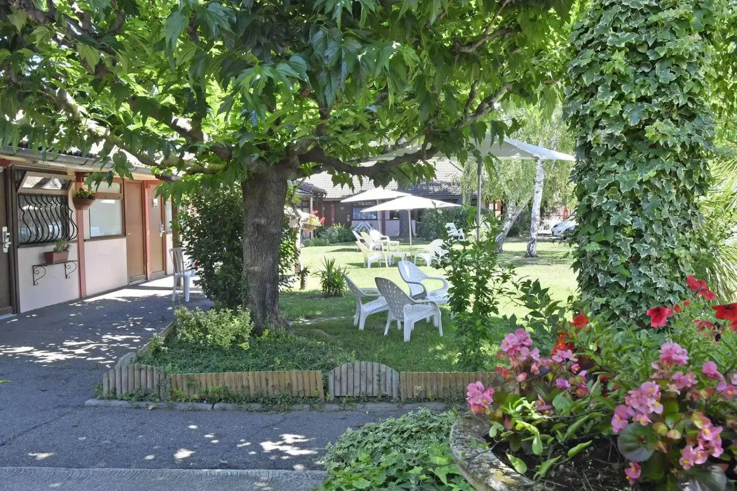 Garden view, Garden in Hotel Cristol