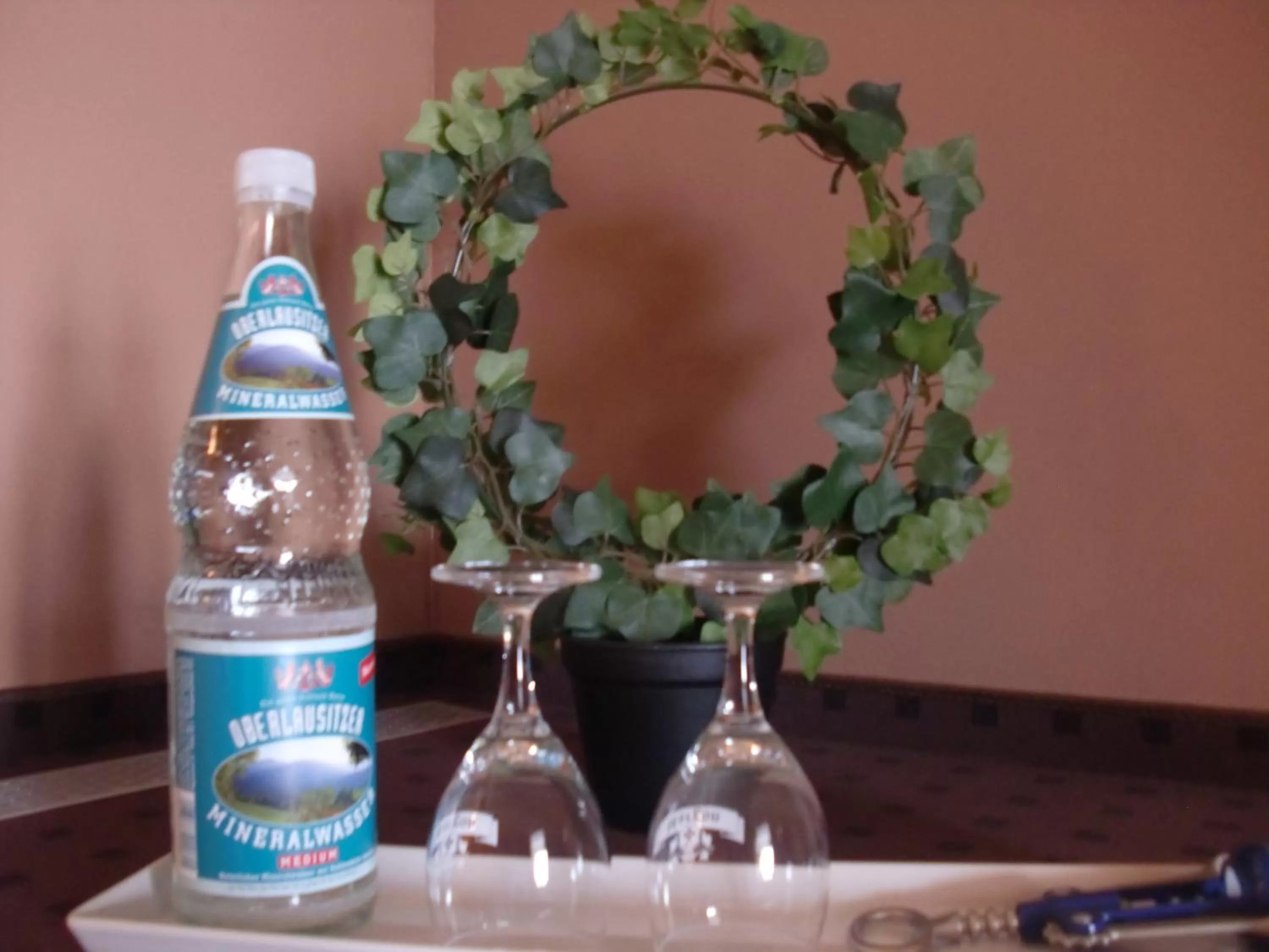 Drinks in Hotel Am Heidepark