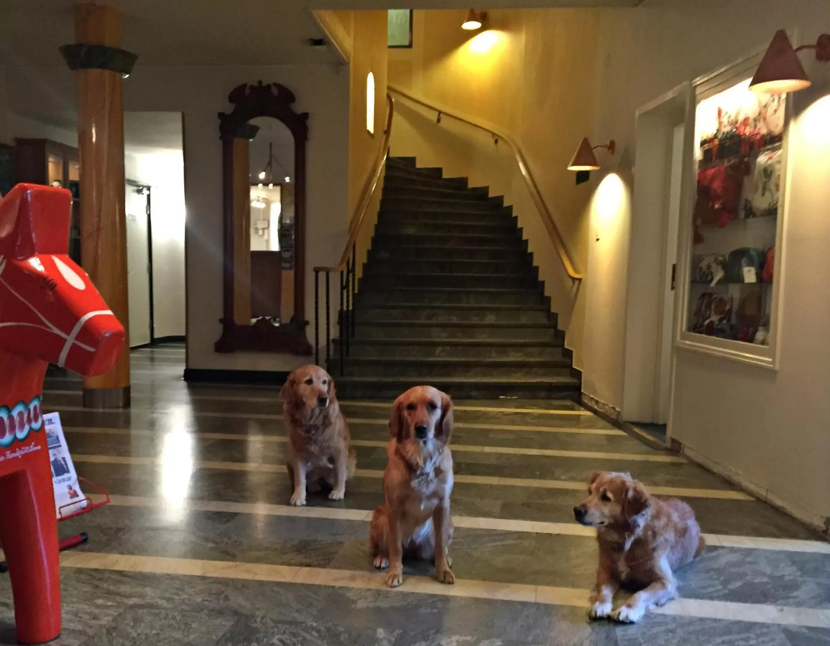 Pets in Mora Hotell & Spa