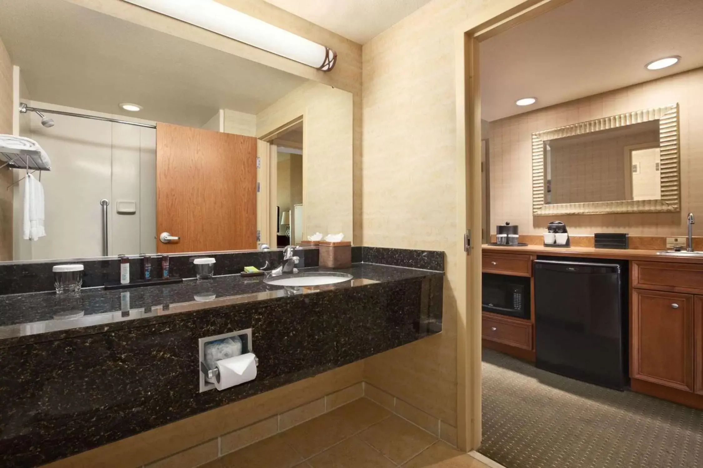 Bathroom in Embassy Suites Hot Springs - Hotel & Spa