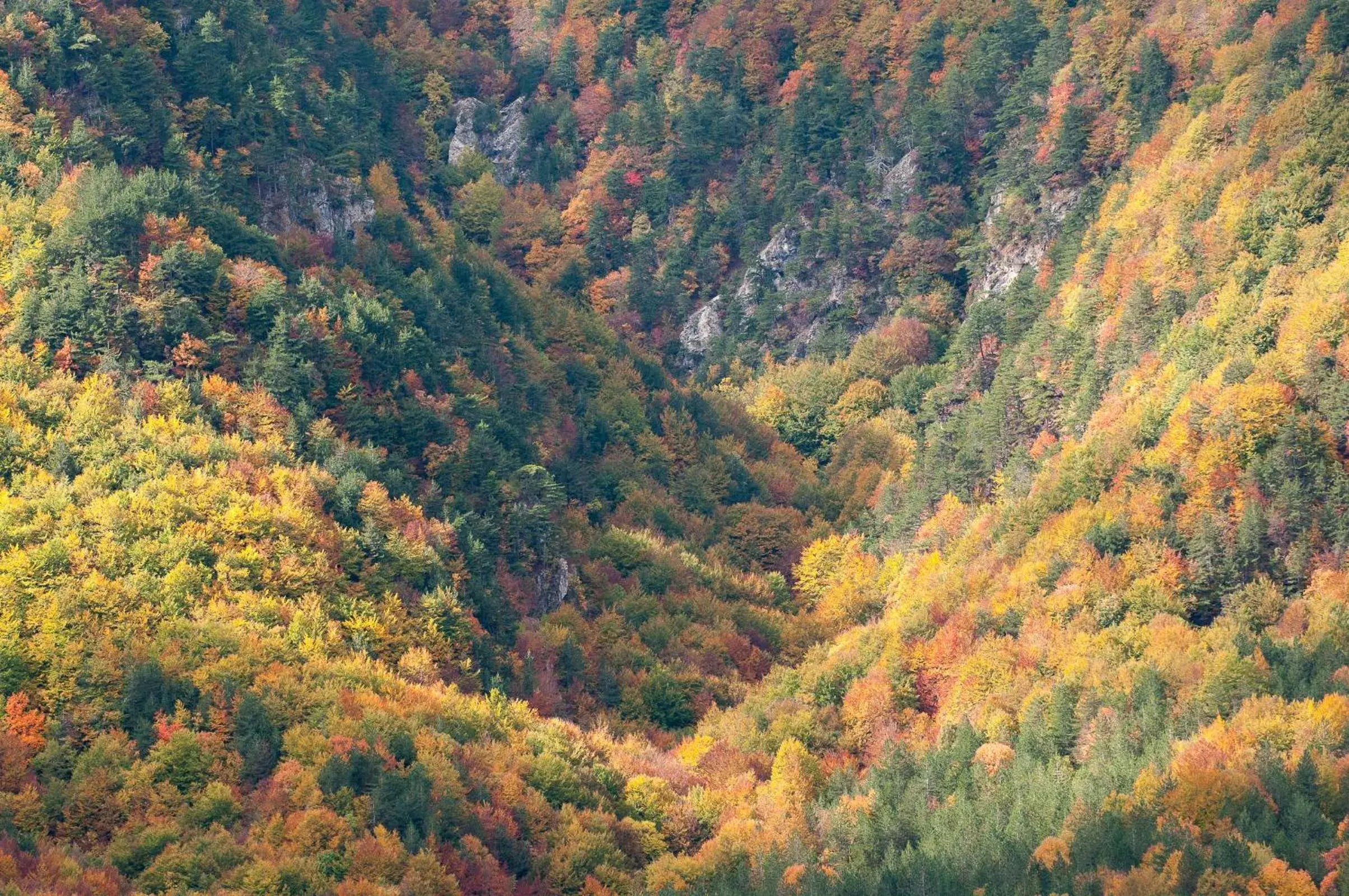 Natural landscape, Bird's-eye View in Hotel Iris