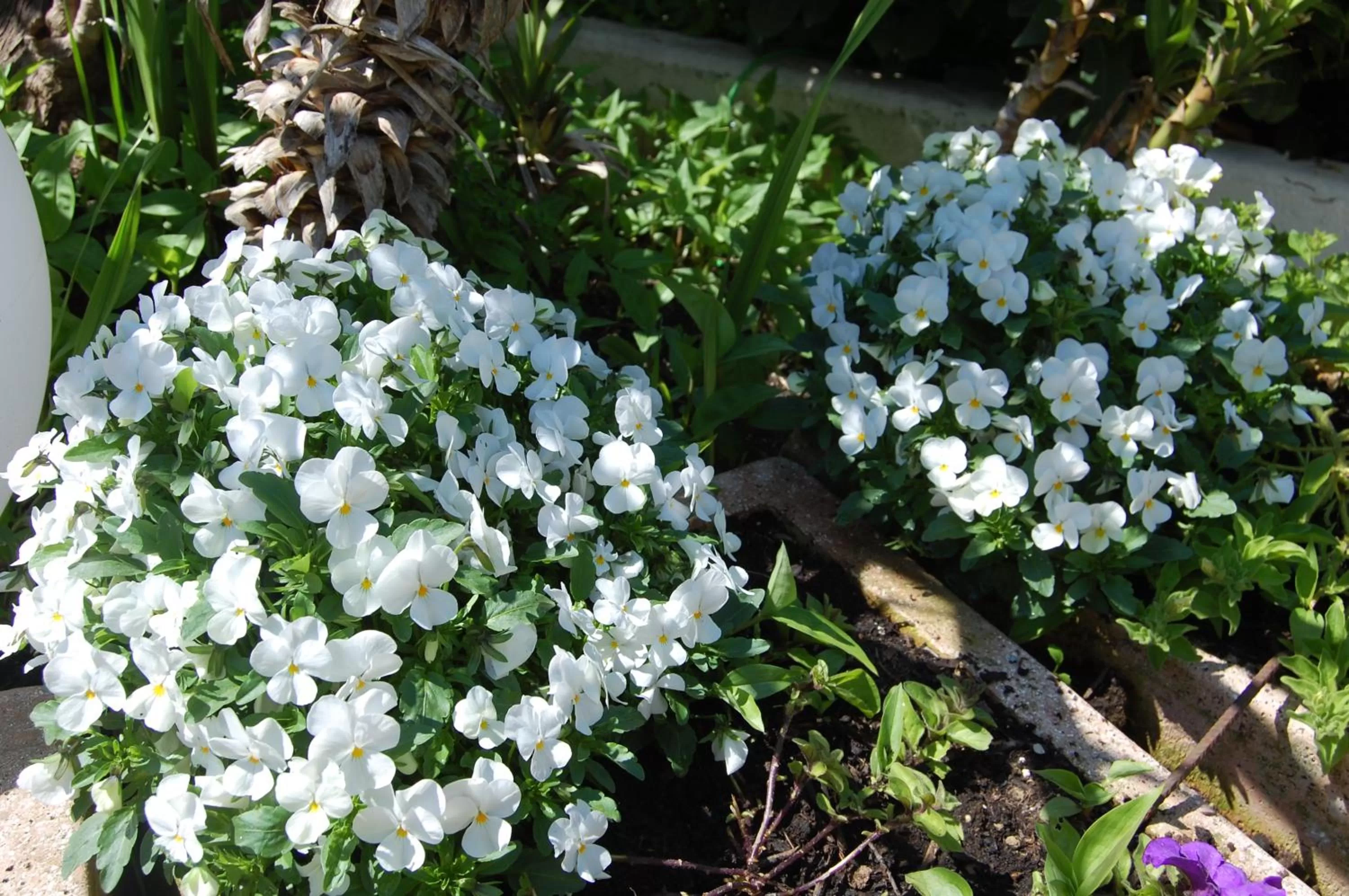 Other in Hotel Irene