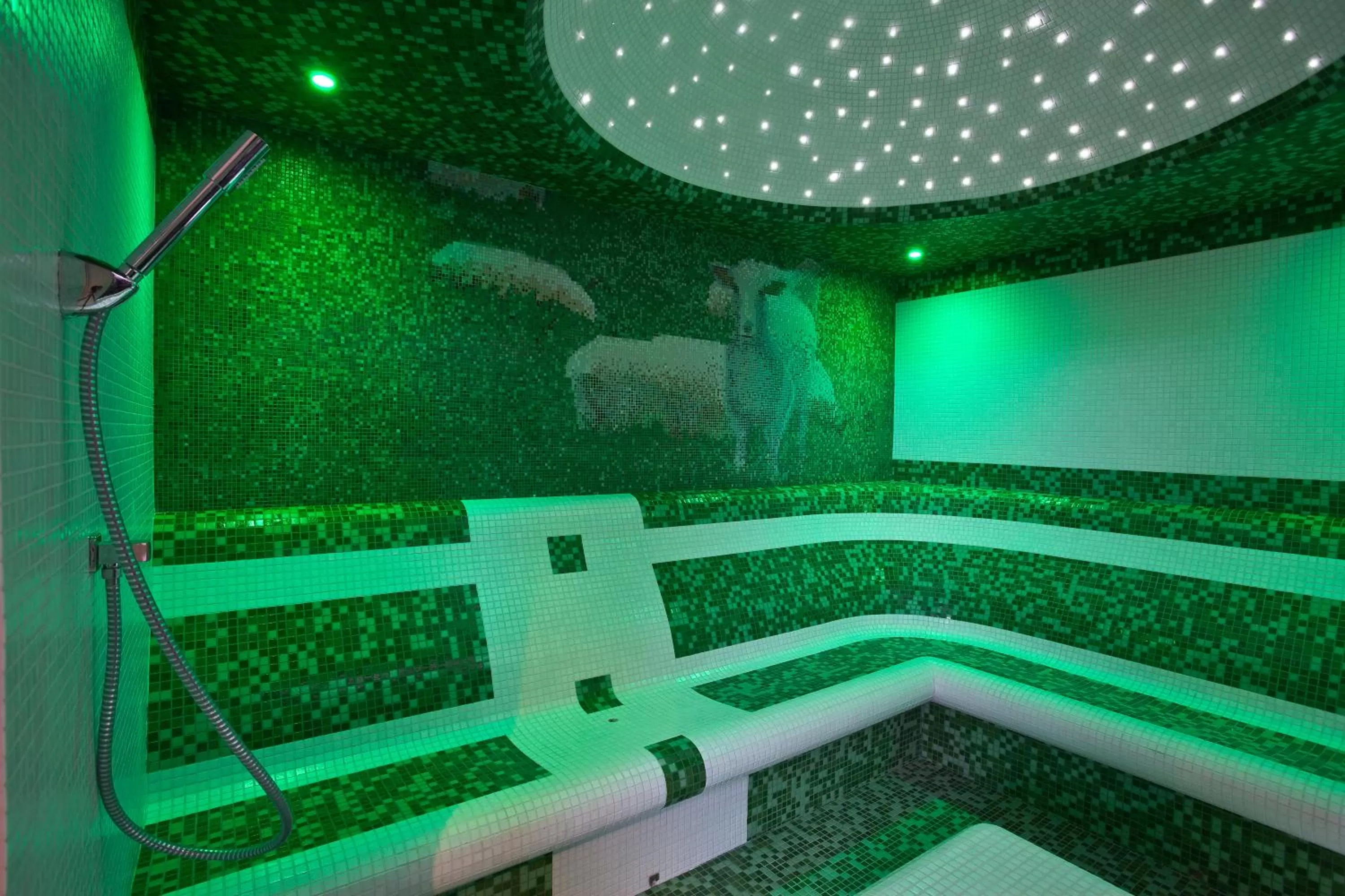 Spa and wellness centre/facilities in Hotel Piwniczna SPA&Conference