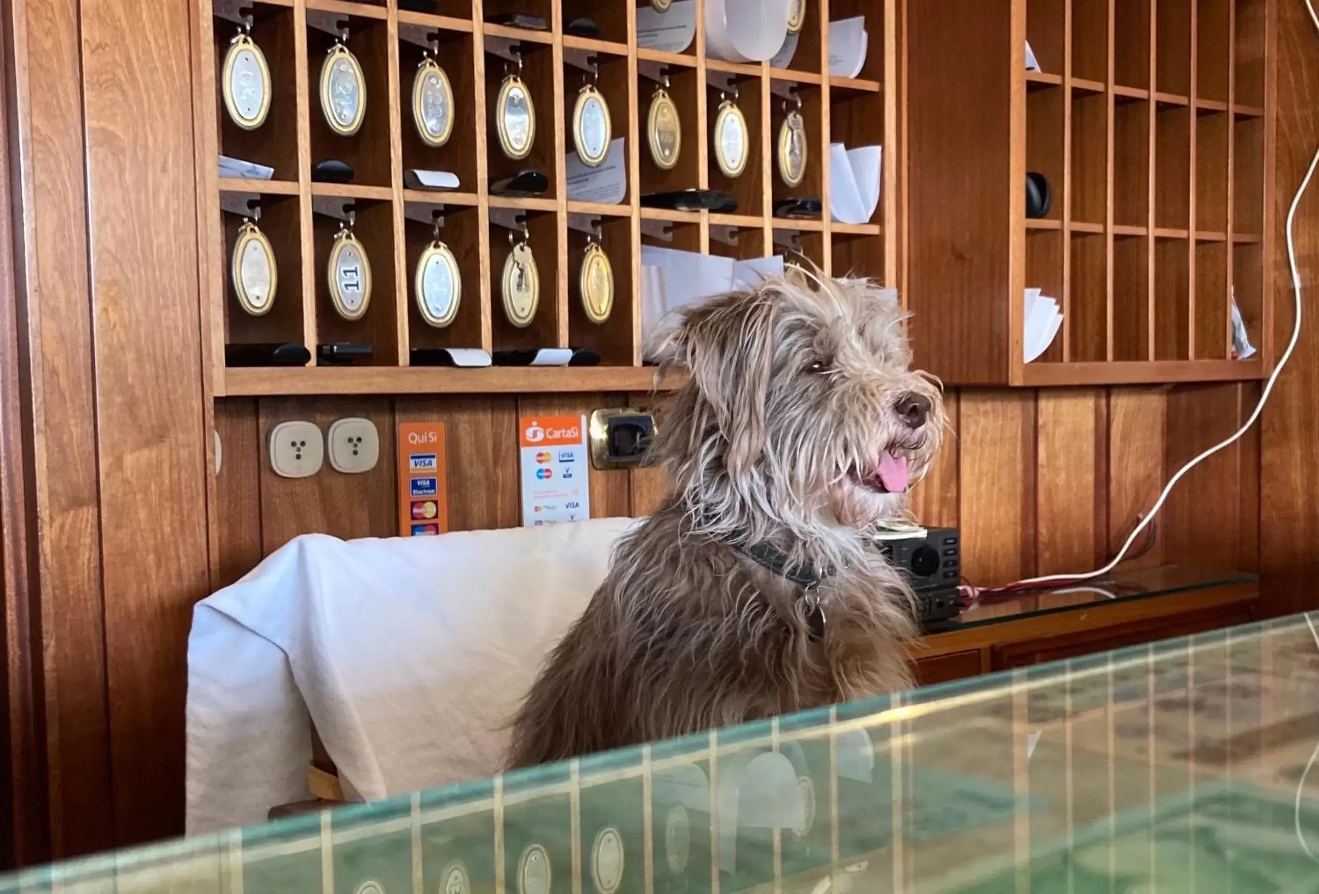 Staff in Hotel Ping Pong