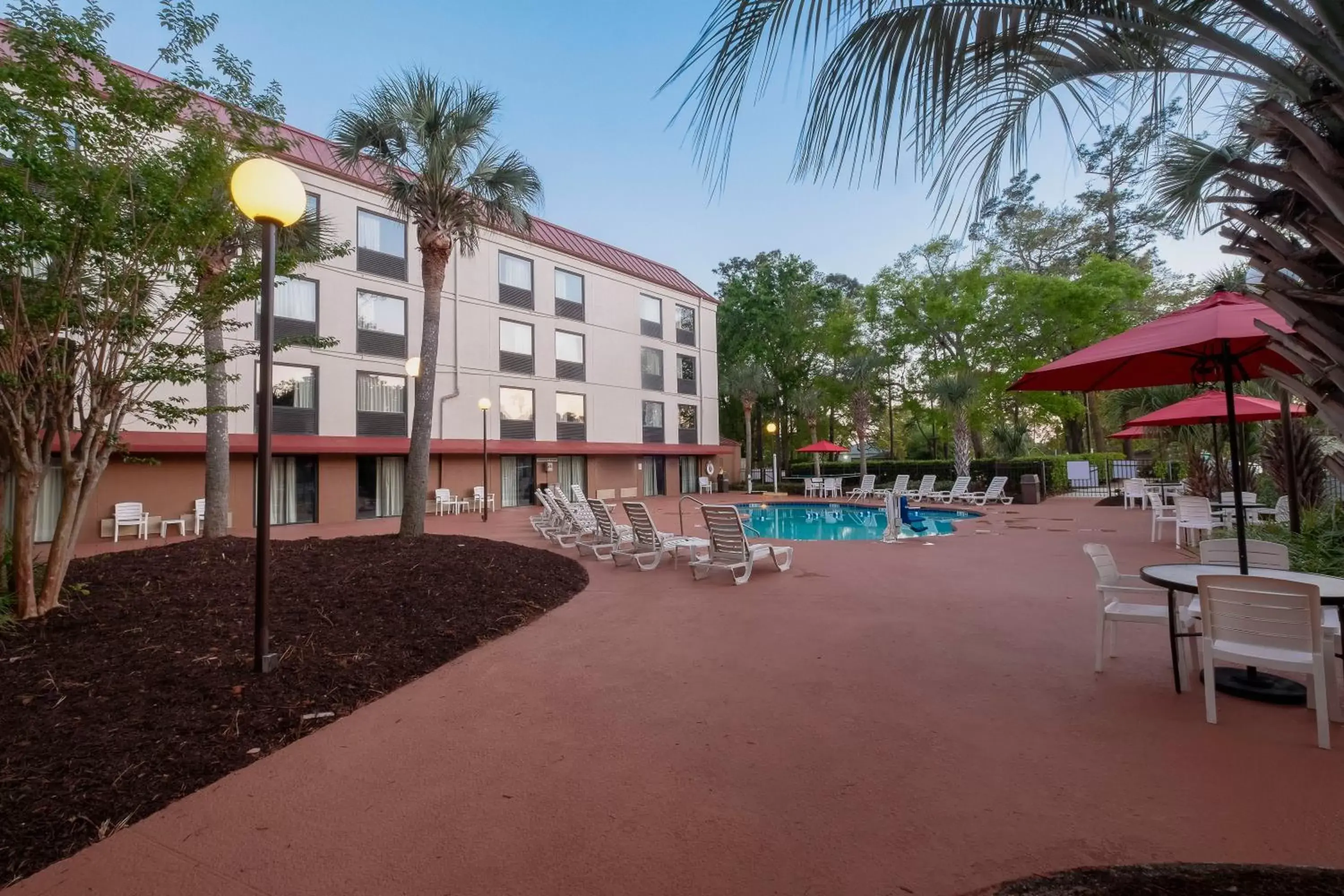 Swimming pool, Property Building in Red Roof Inn Myrtle Beach Hotel - Market Commons