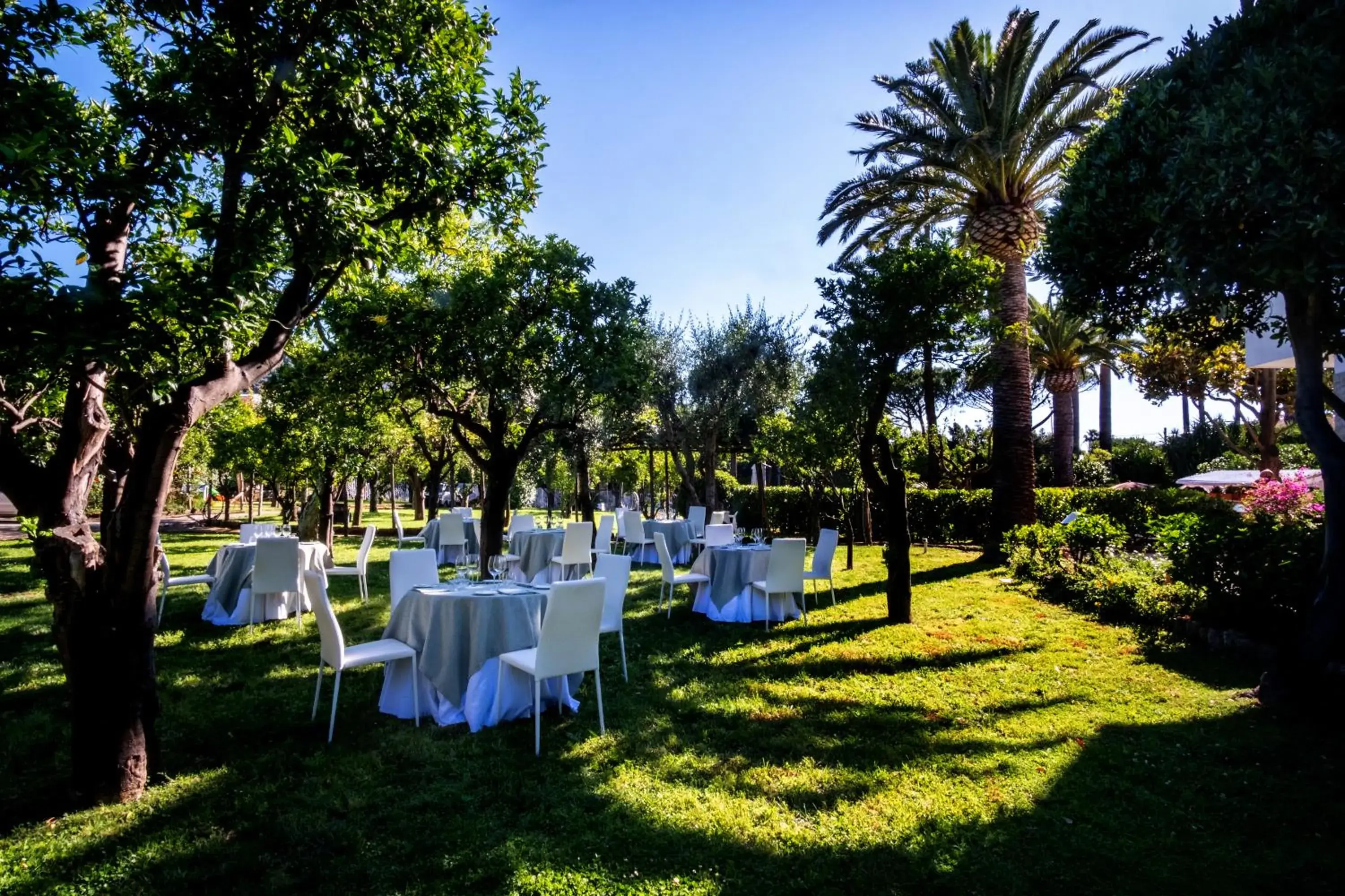 Garden, Banquet Facilities in Hotel Alpha