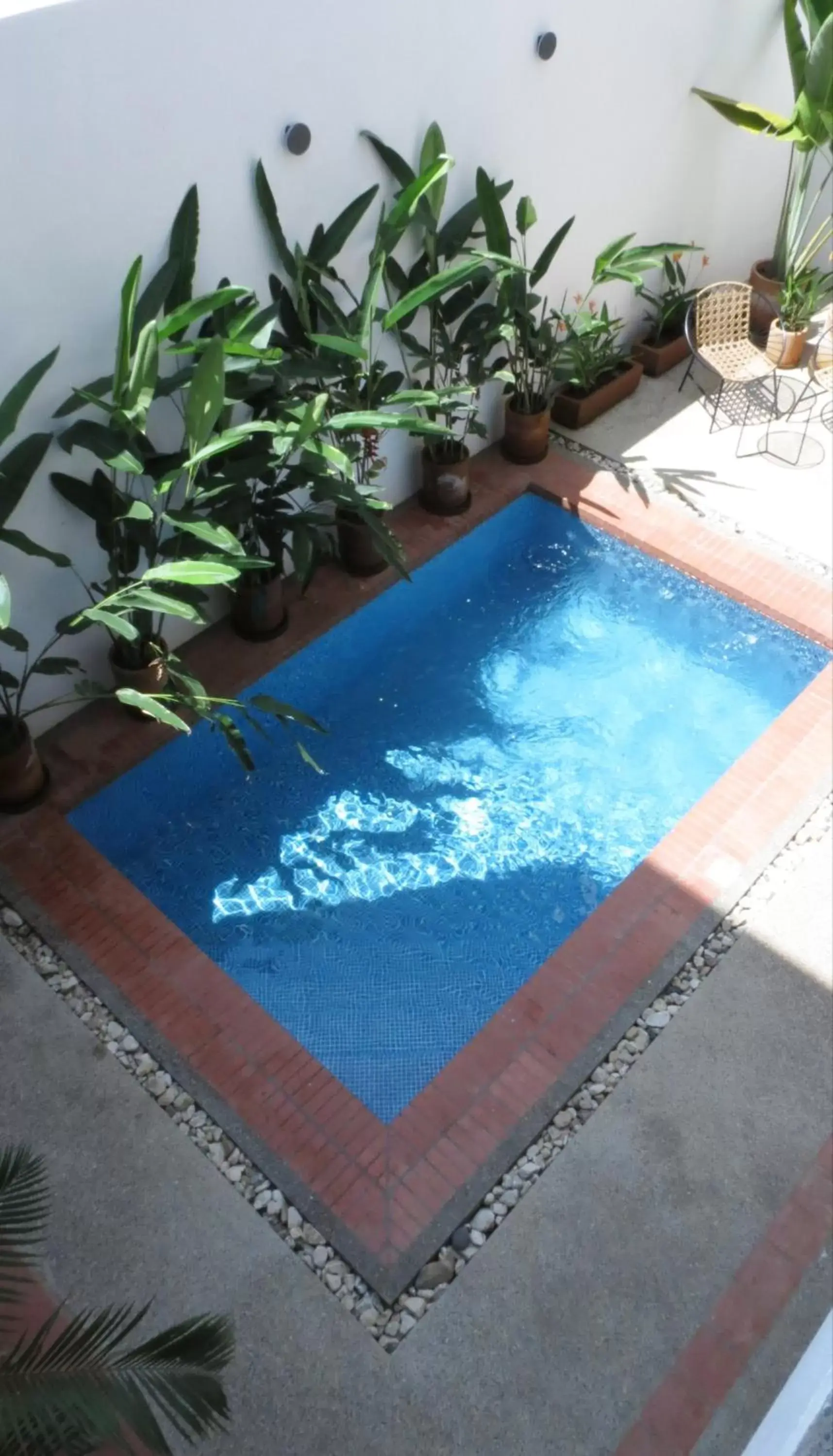 Pool view, Swimming Pool in Casa Cora