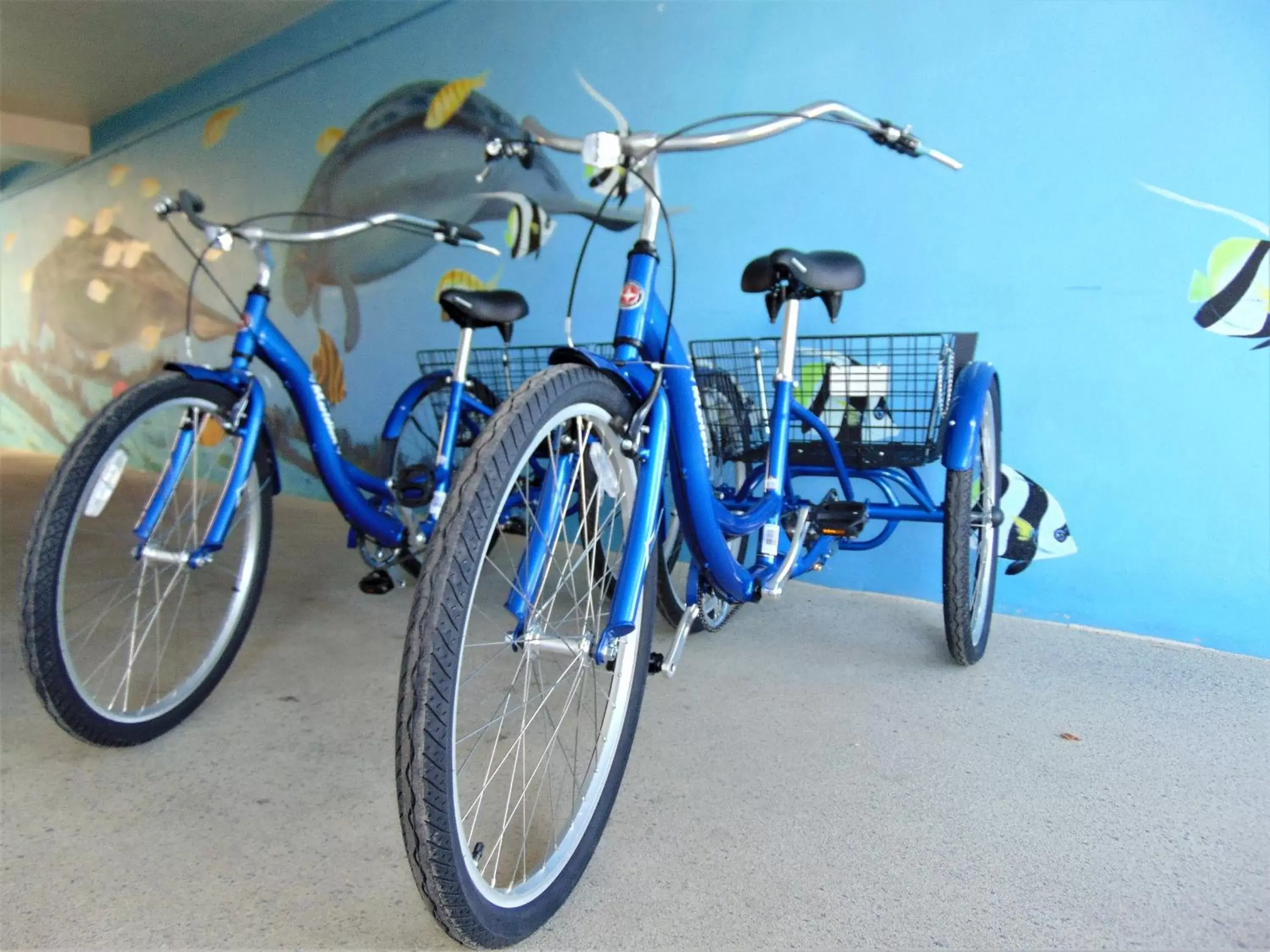 Cycling, Other Activities in Dolphin Key Resort - Cape Coral