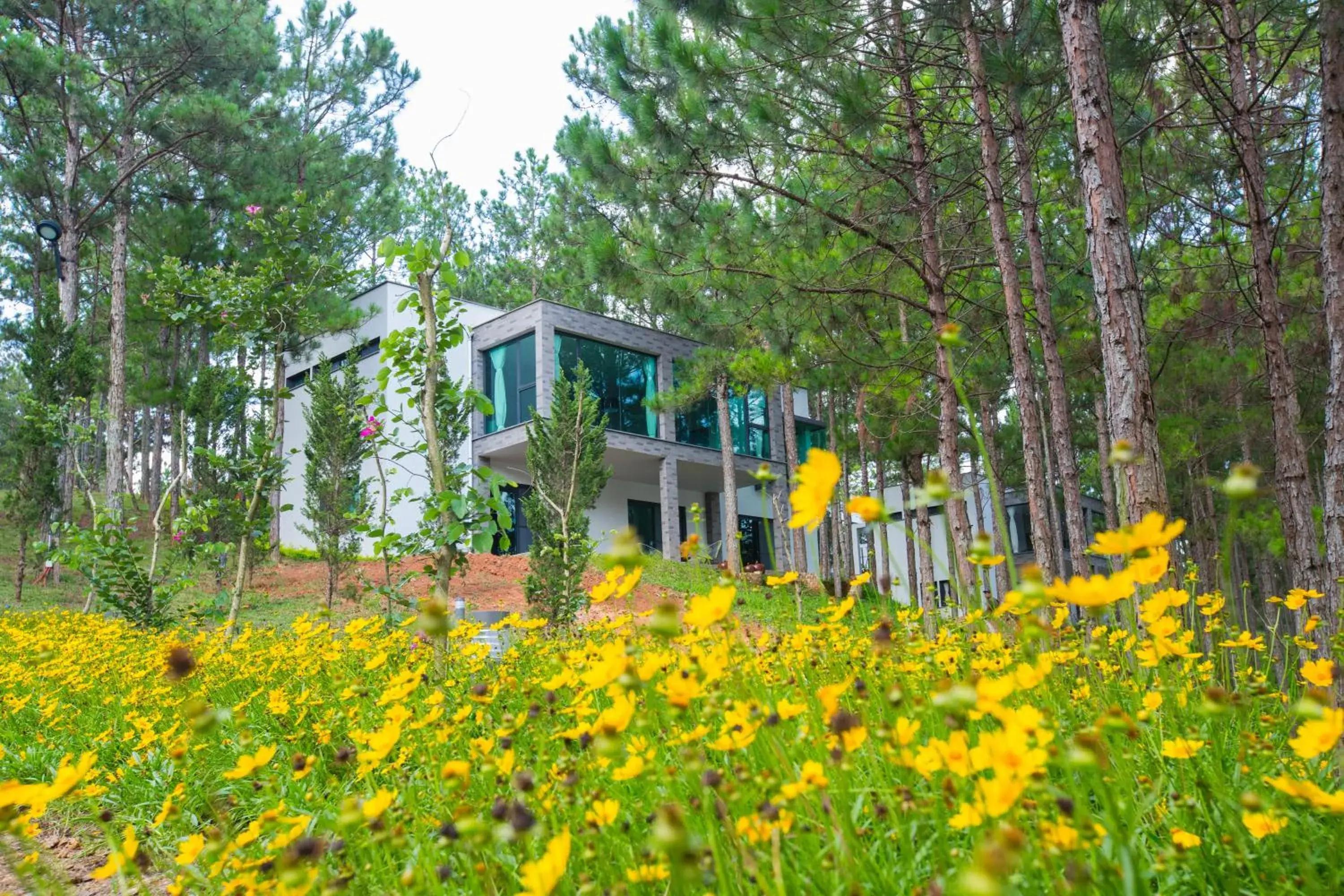 Summer, Property Building in Terracotta Hotel And Resort Dalat