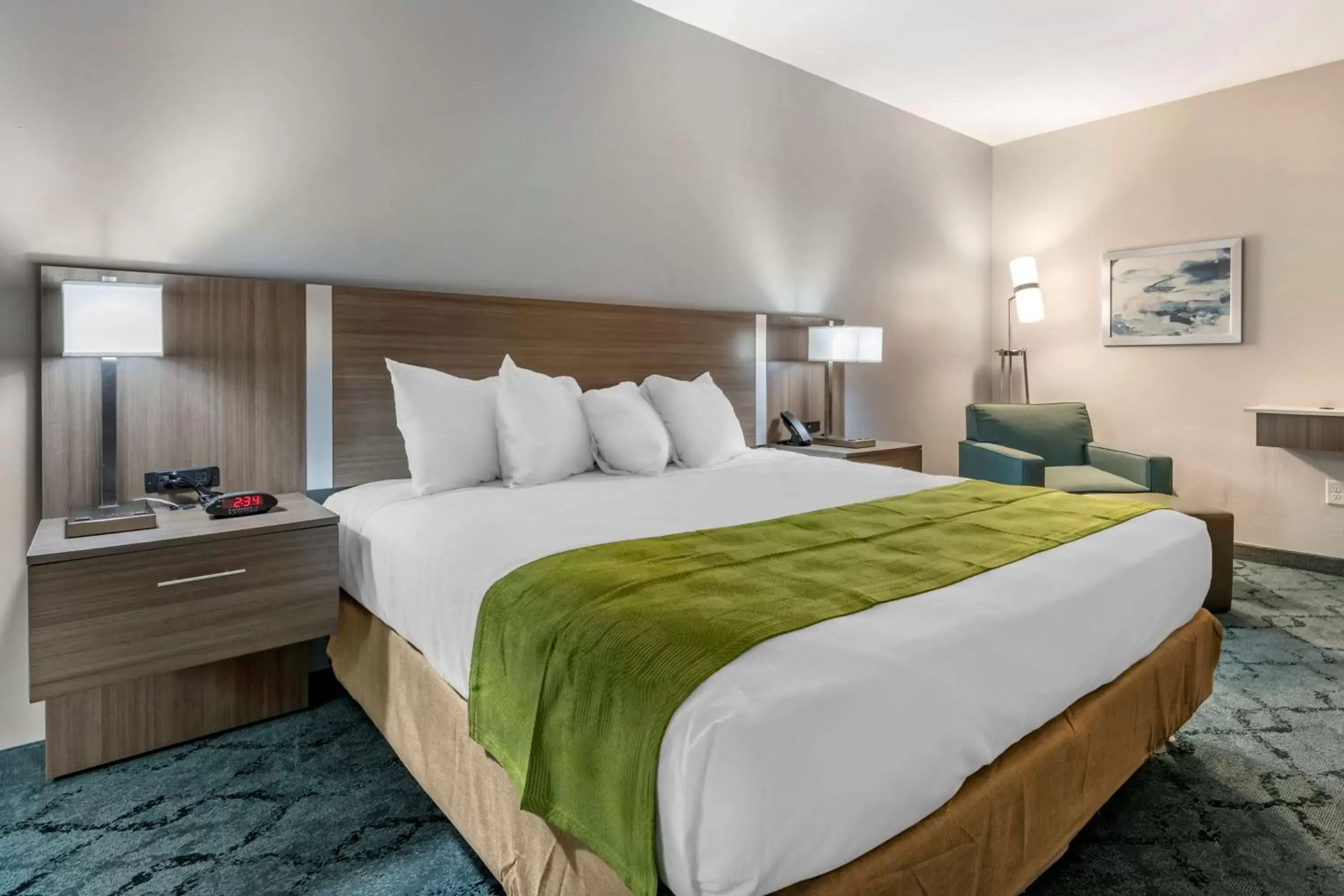 King Room with Roll-In Shower - Disability Access in Best Western Plus Lakeland King Room with Roll-In Shower - Disability Access in Best Western Plus Lakeland