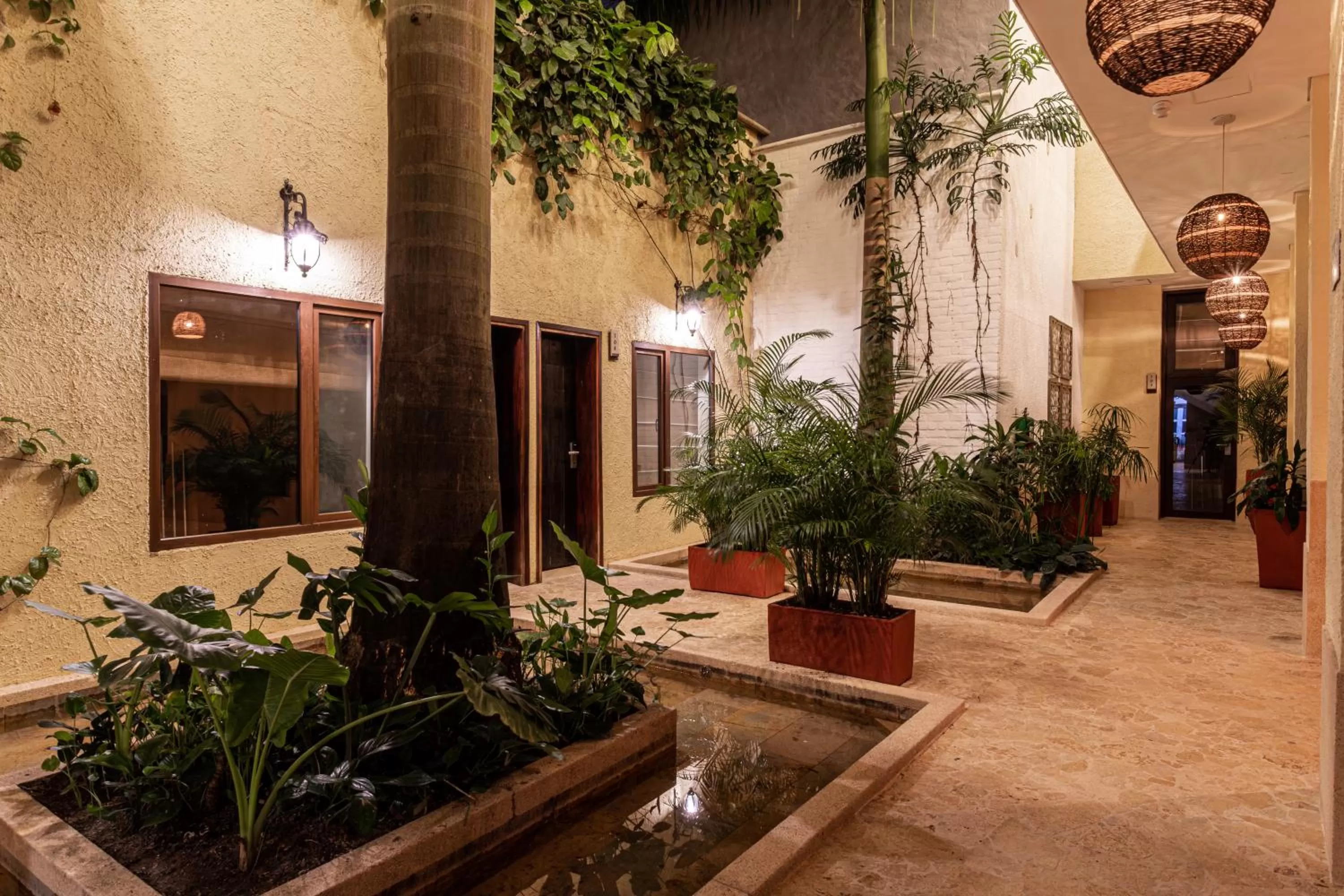 Garden in Soy Local Insignia