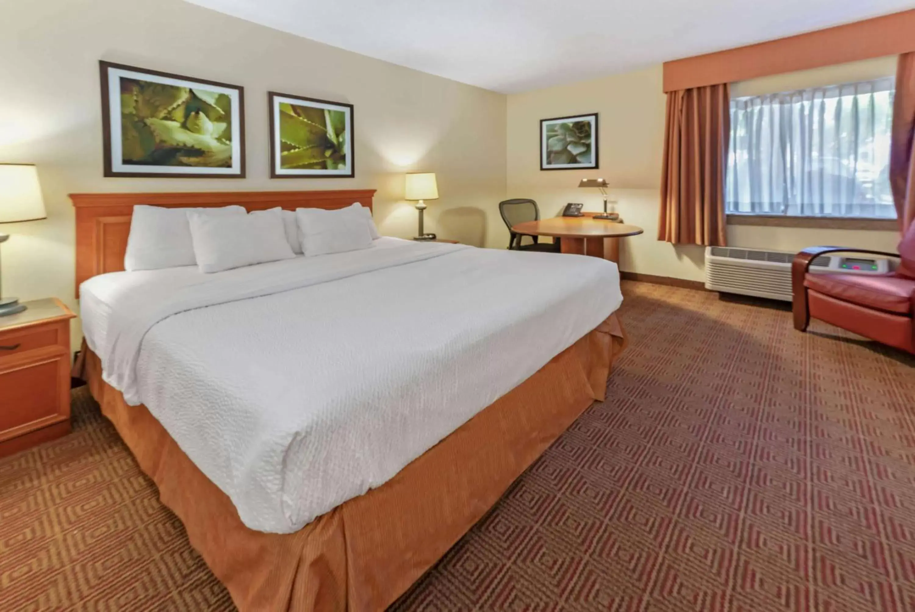 Deluxe King Room in La Quinta by Wyndham Tampa Brandon West