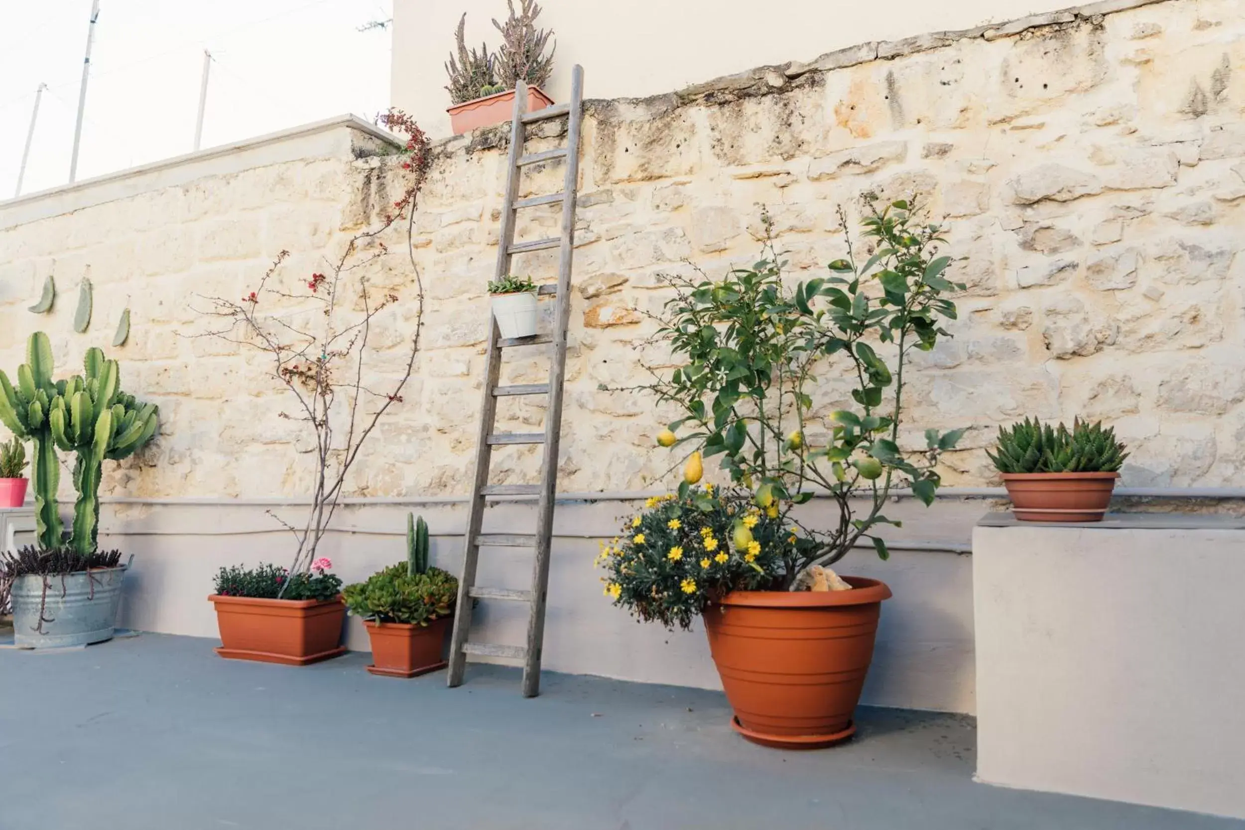 Balcony/Terrace in Casa Romito