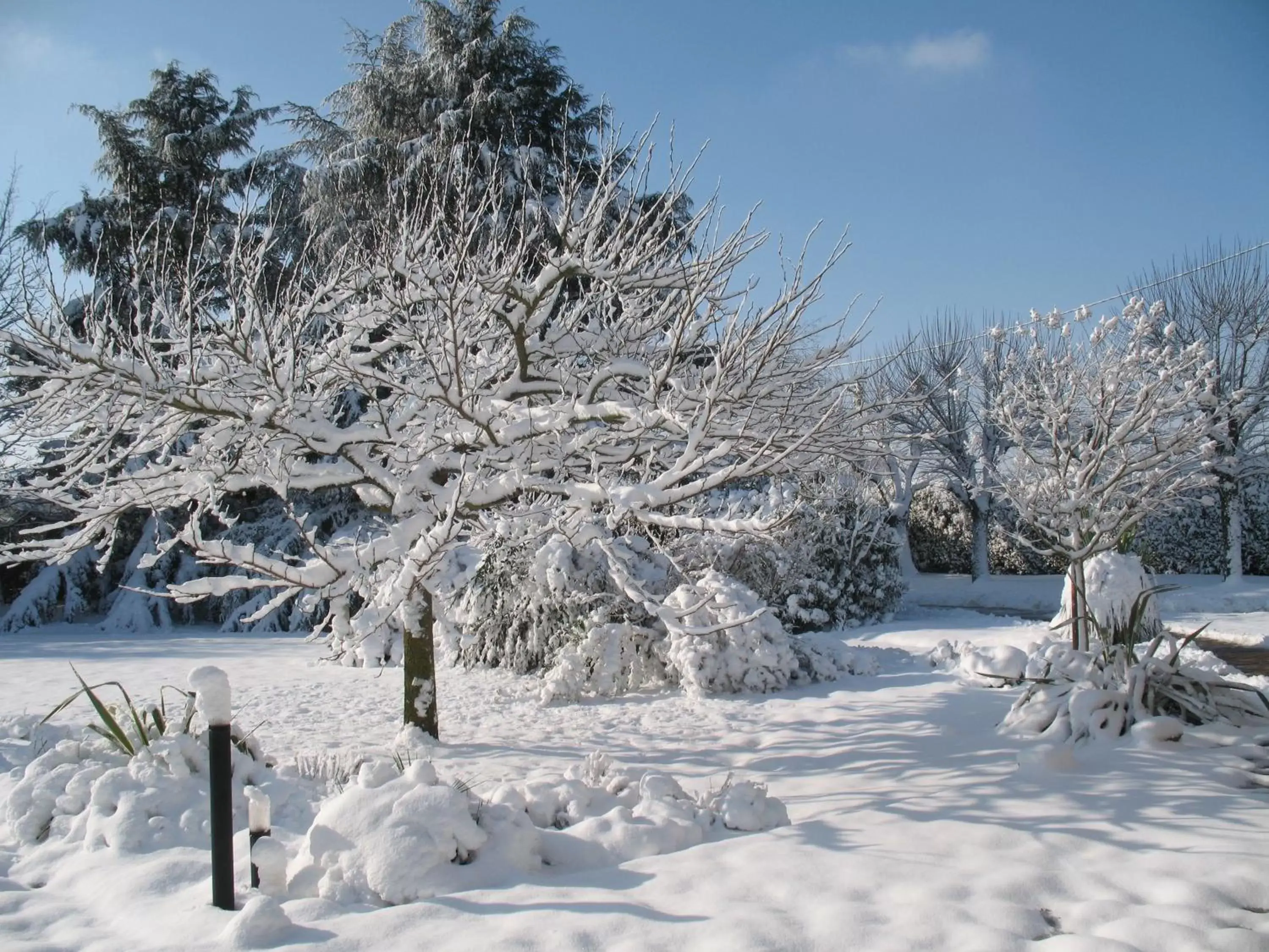 Winter in Chambres d'Hôtes Le Mûrier