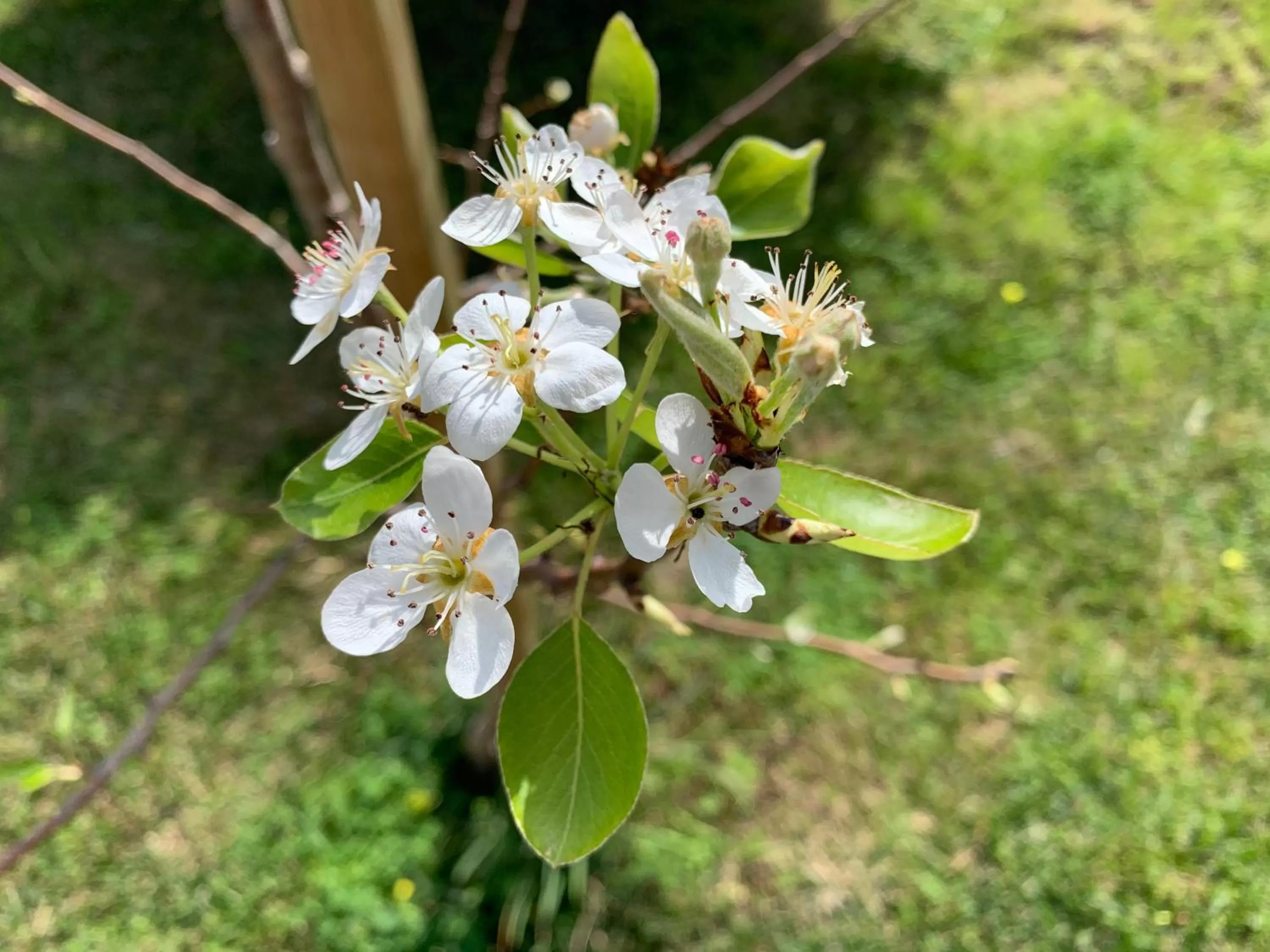 Garden in Campanhã Boutique Station