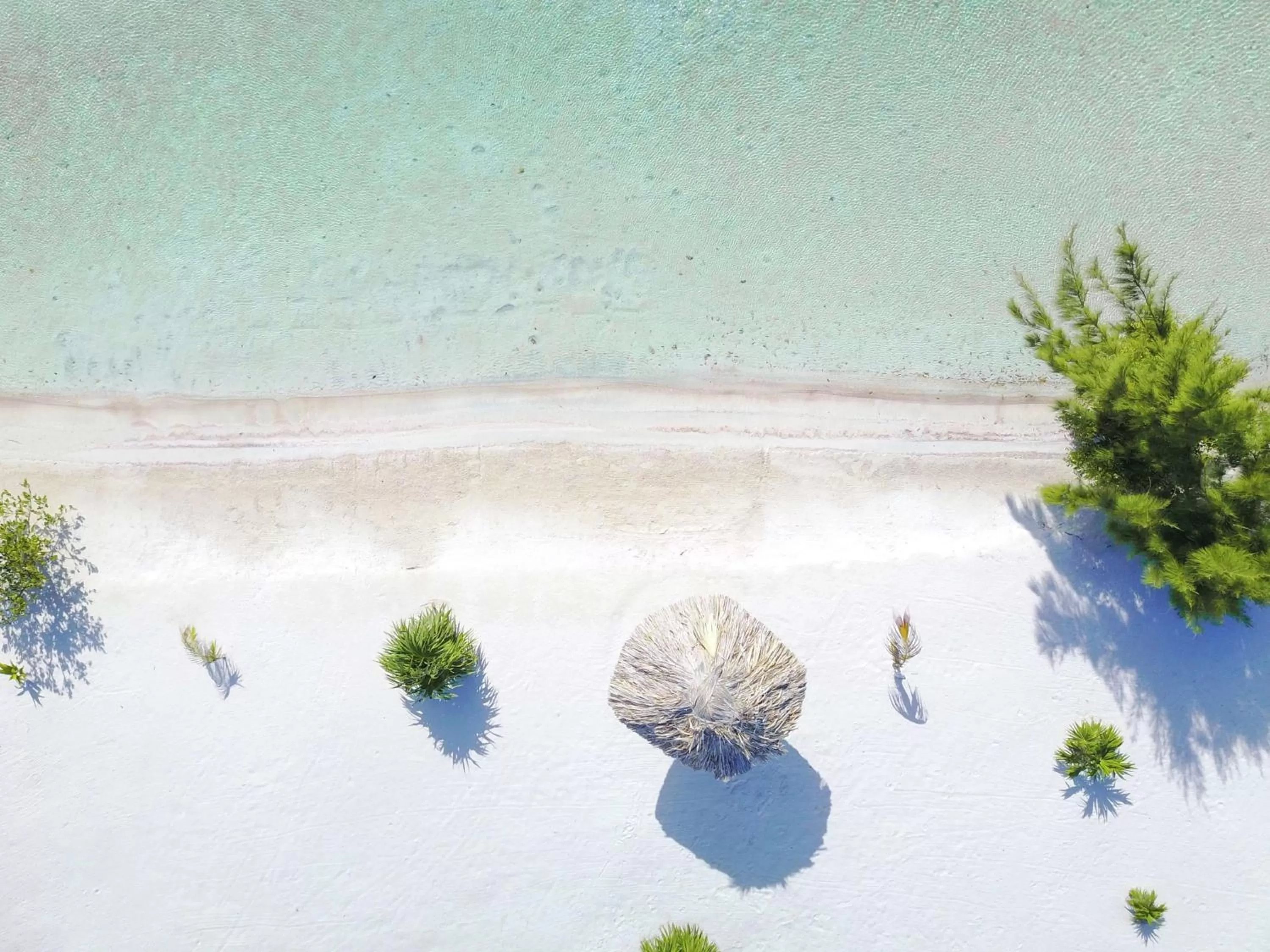 Sports in Mahogany Bay Resort and Beach Club, Curio Collection