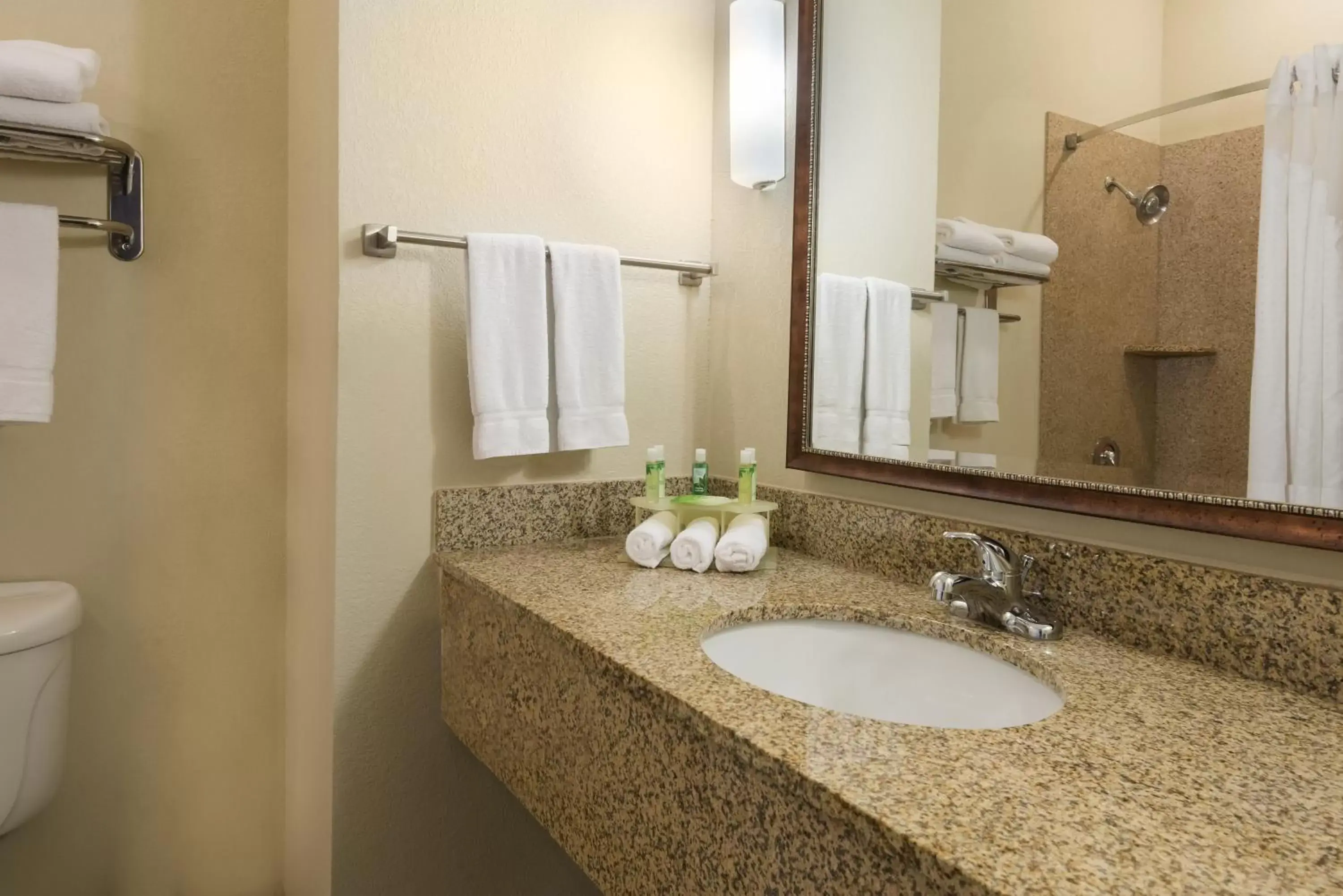 Bathroom in Holiday Inn Express Hotel & Suites New Iberia - Avery Island, an IHG Hotel