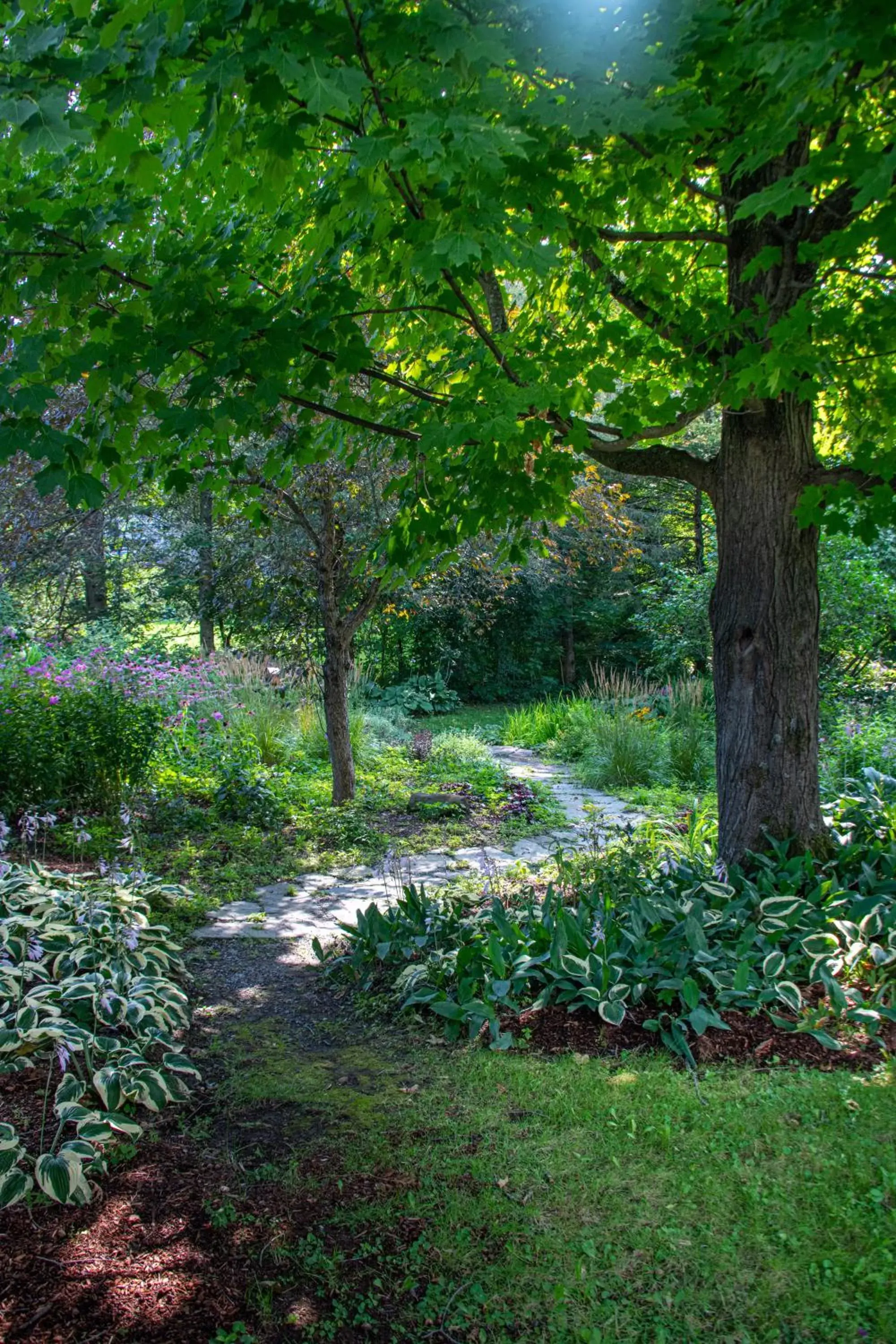 Garden in Sinclair Inn Bed & Breakfast