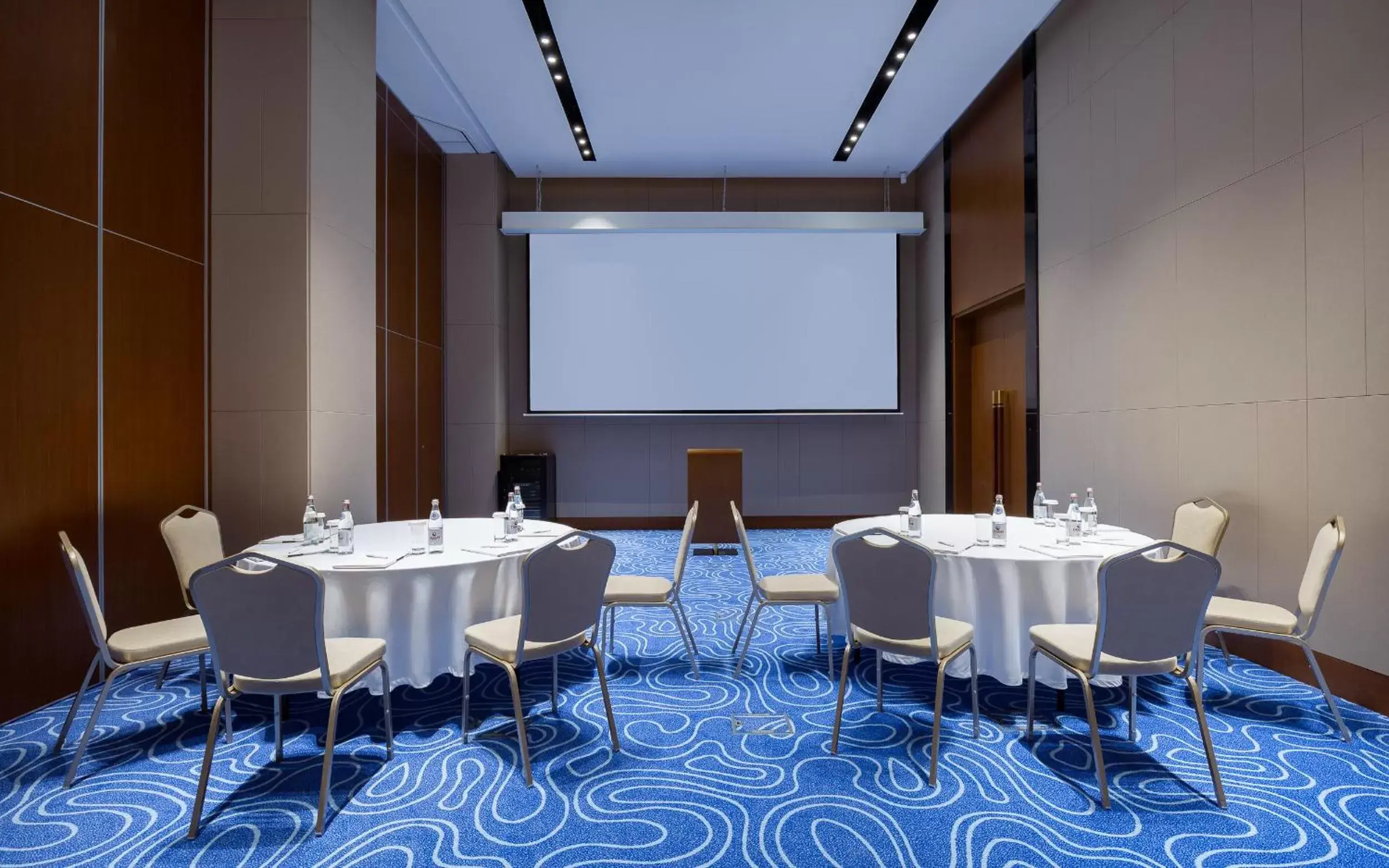 Meeting/conference room in Swissôtel Wellness Resort Alatau Almaty