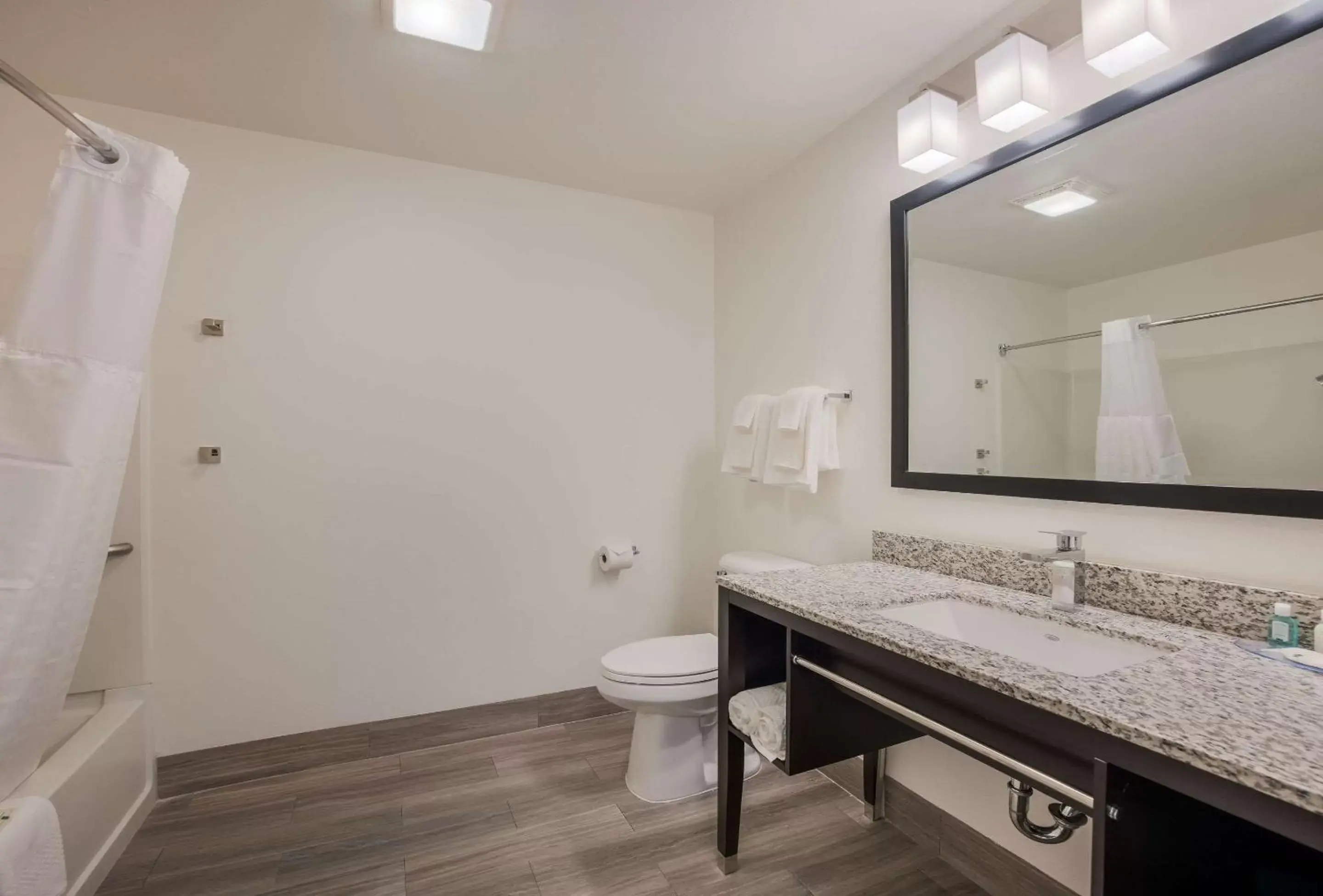 Bathroom in Quality Inn & Suites Castle Rock SW Denver