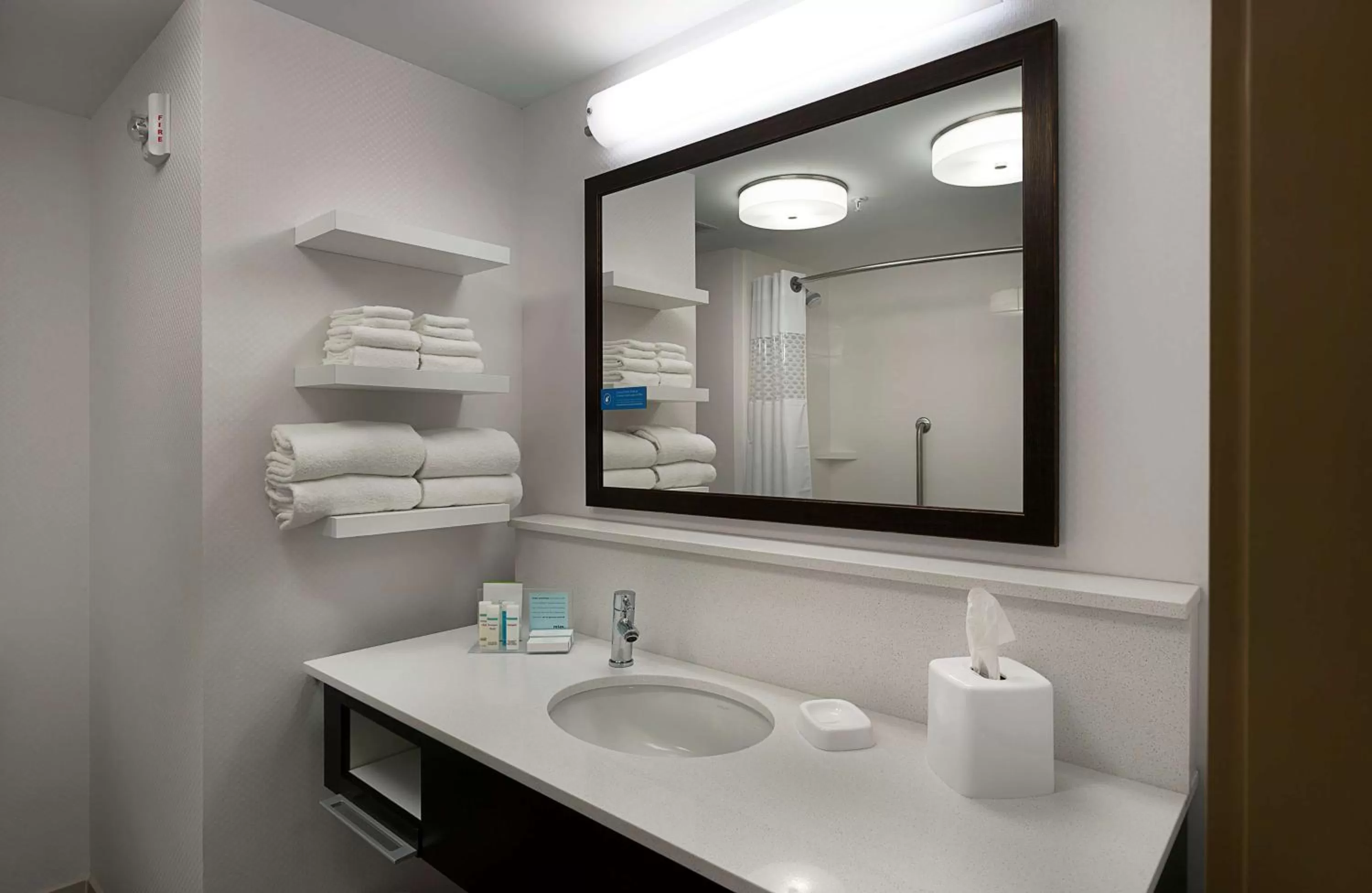 Bathroom in Hampton Inn and Suites Fort Mill, SC