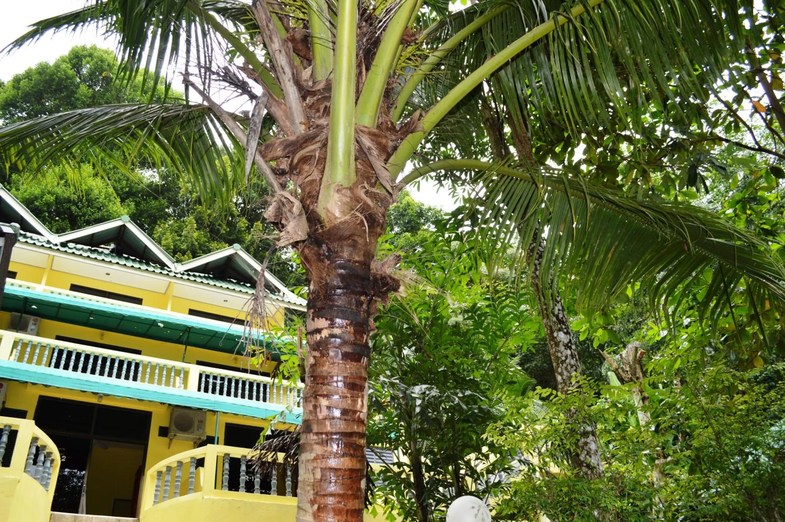 Garden view in Island Lodge
