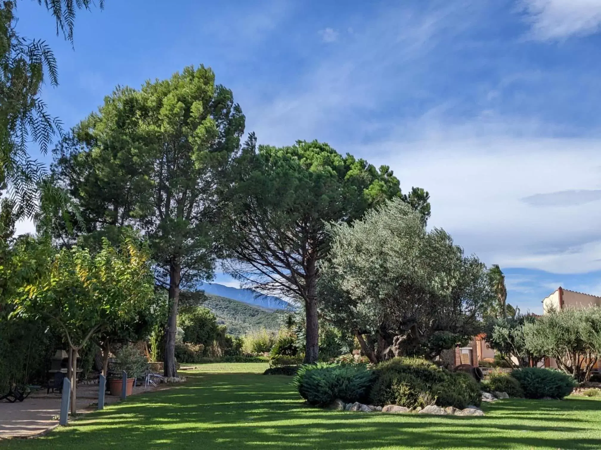 Natural landscape in MAS TRAMONTANE chambres d'hôtes avec parc arboré & piscine