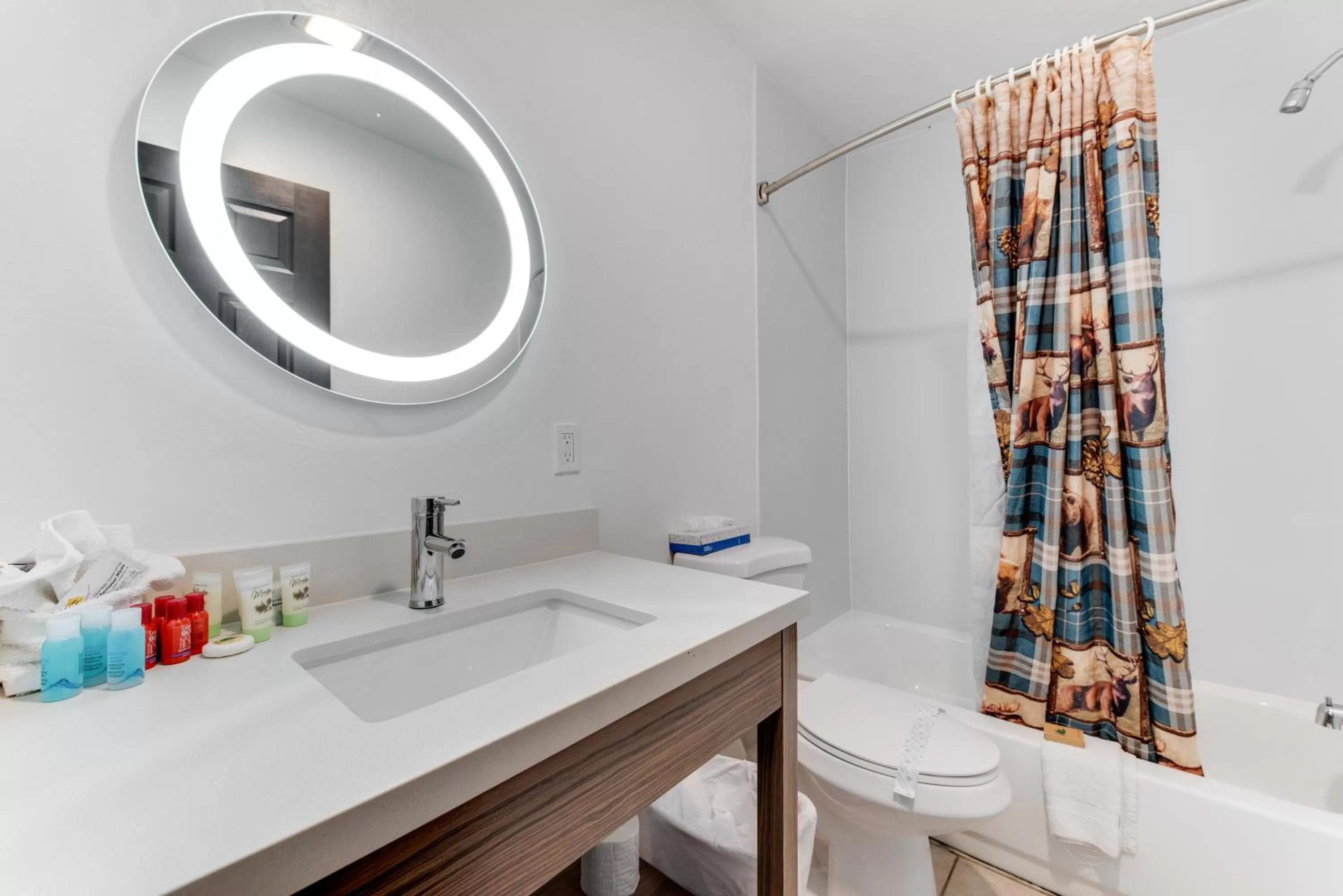 Bathroom in Dolores Mountain Inn