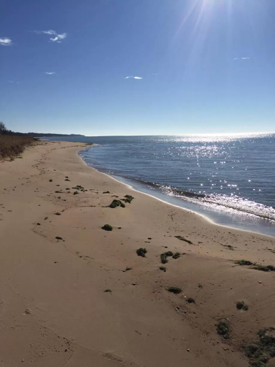 Activities in adoba® hotel Naubinway