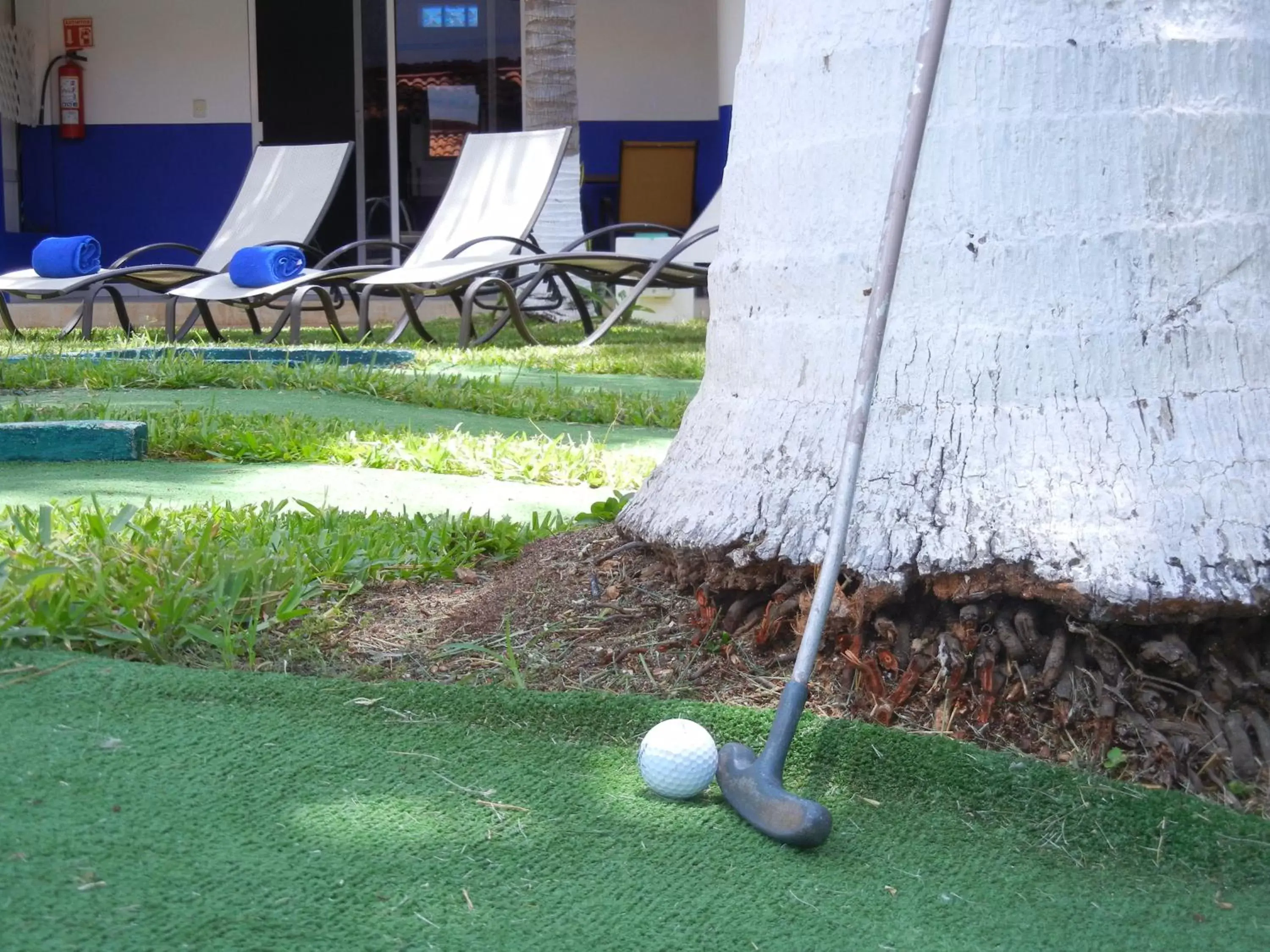 Patio in Hotel Plaza Almendros