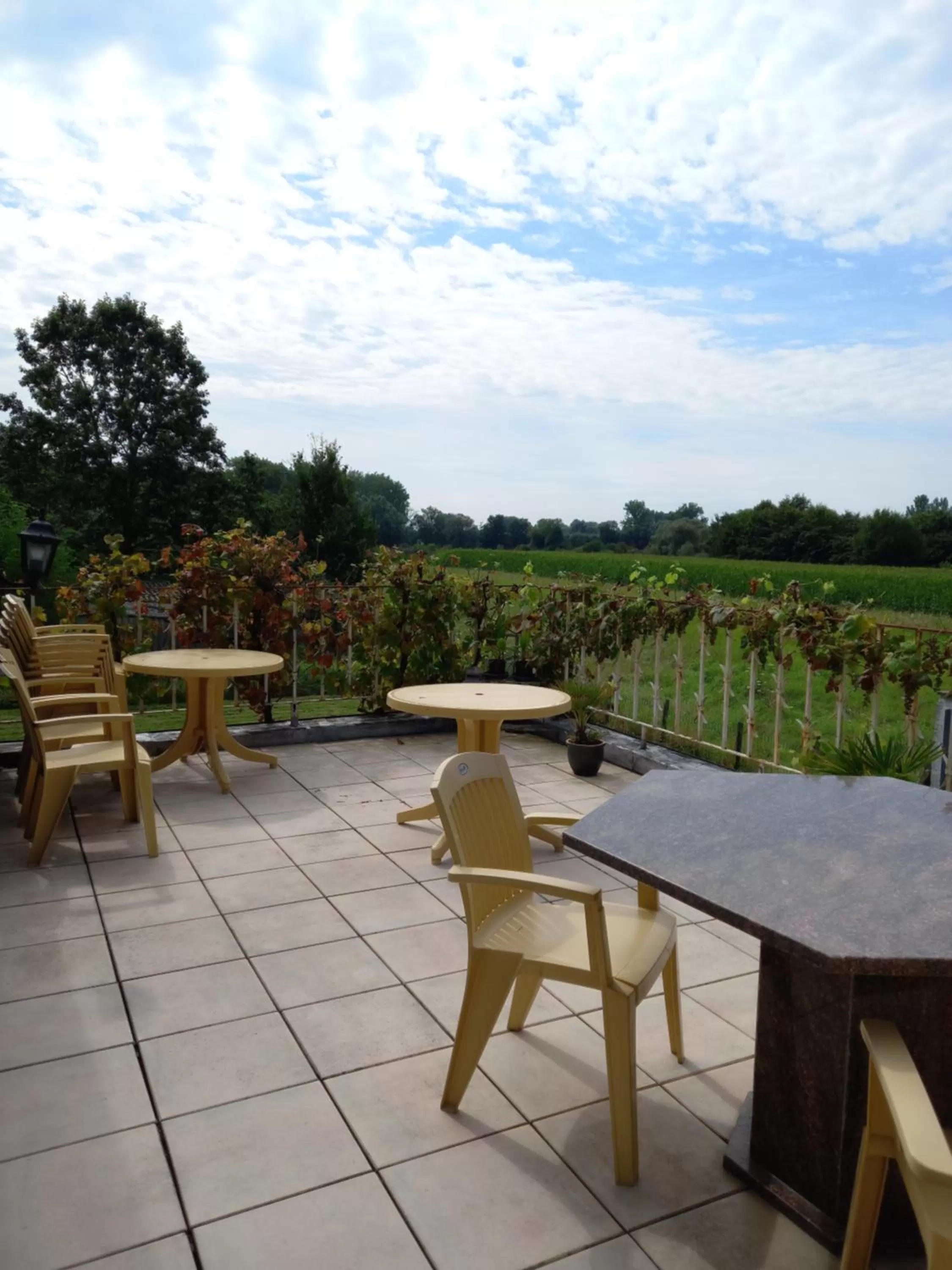 Balcony/Terrace in B&B Aalsters-genot