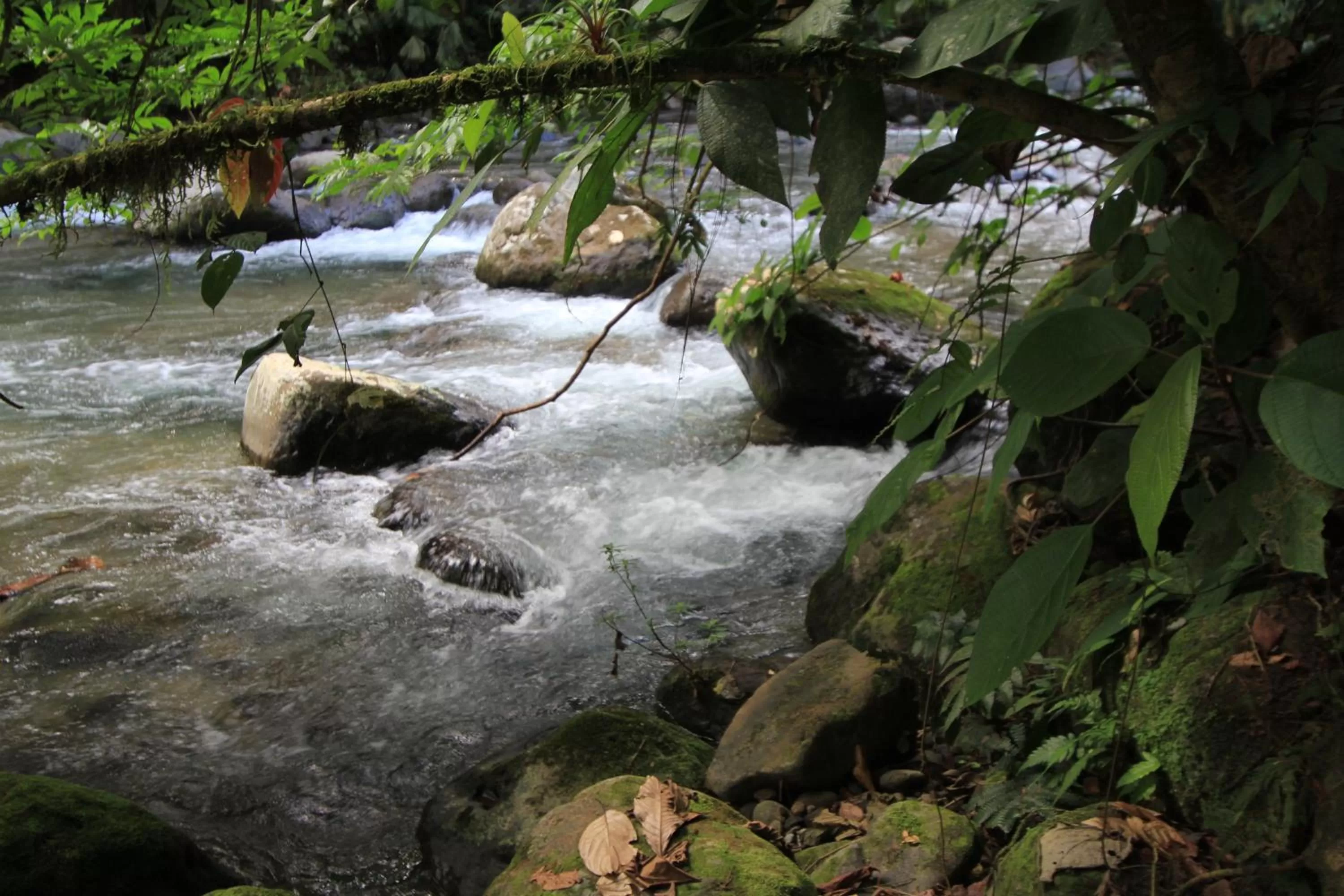 Garden in Hotel Rancho Cerro Azul