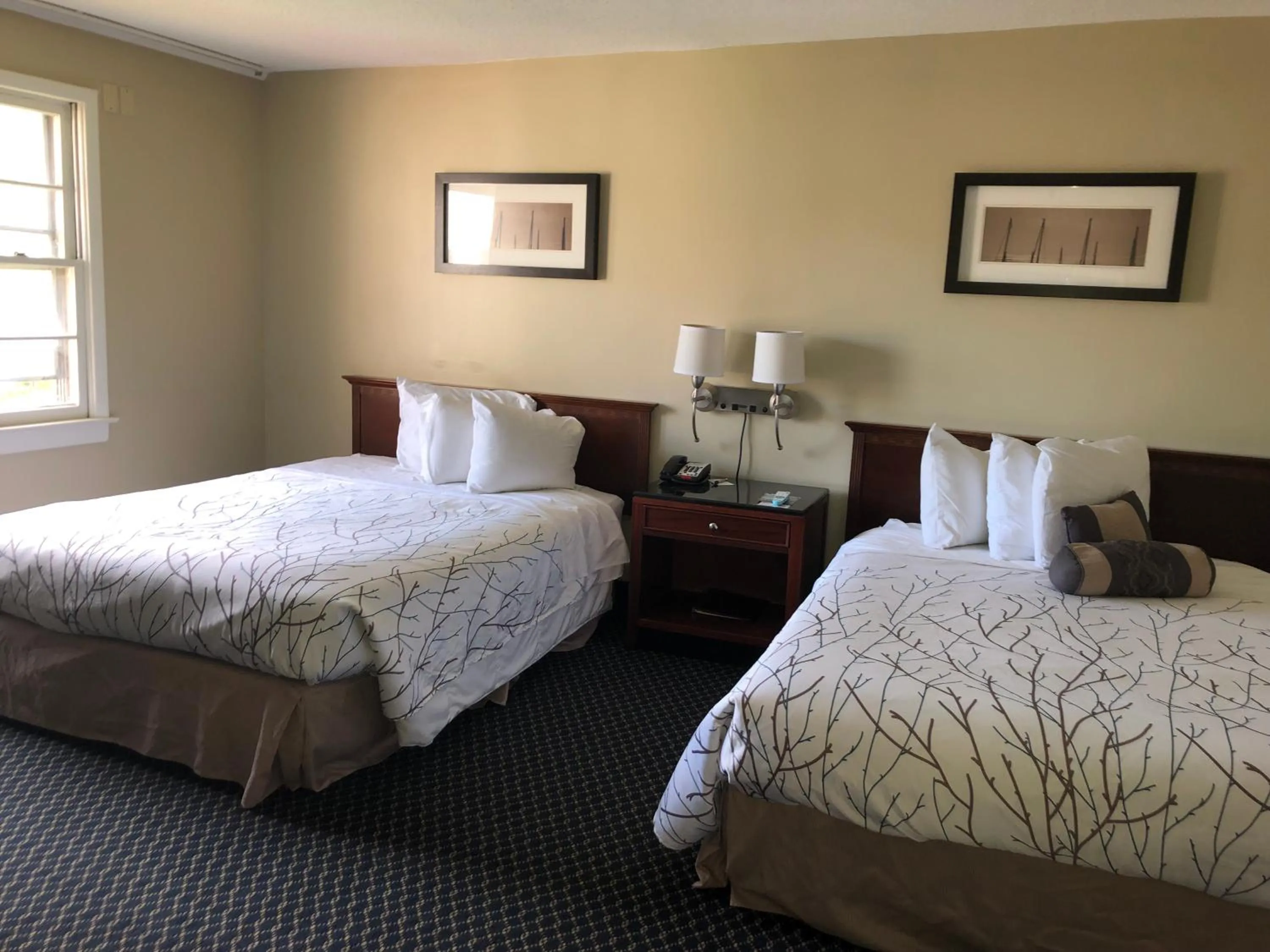Photo of the whole room, Bed in The Black Mountain Inn