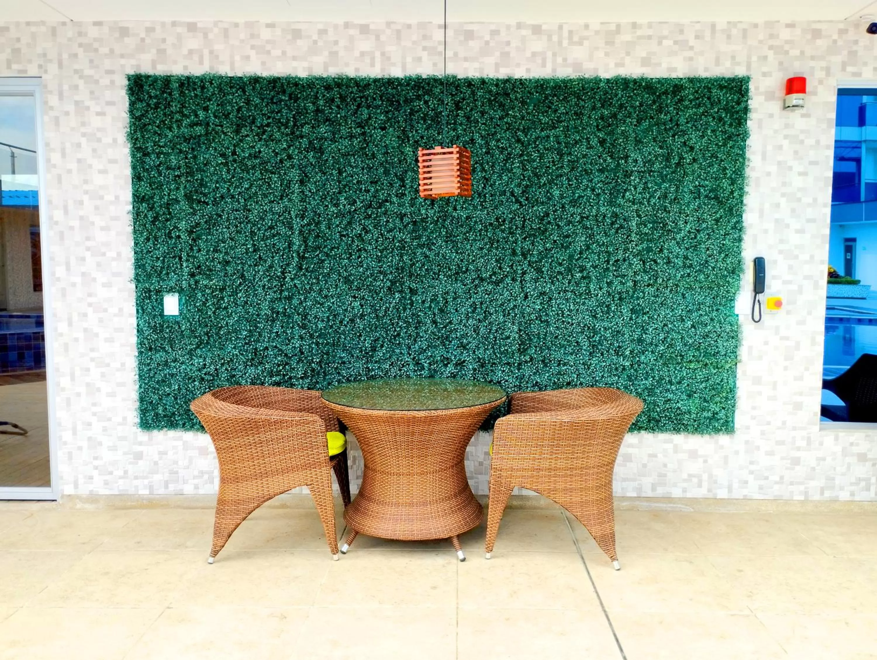 Area and facilities in Hotel Real Elim International