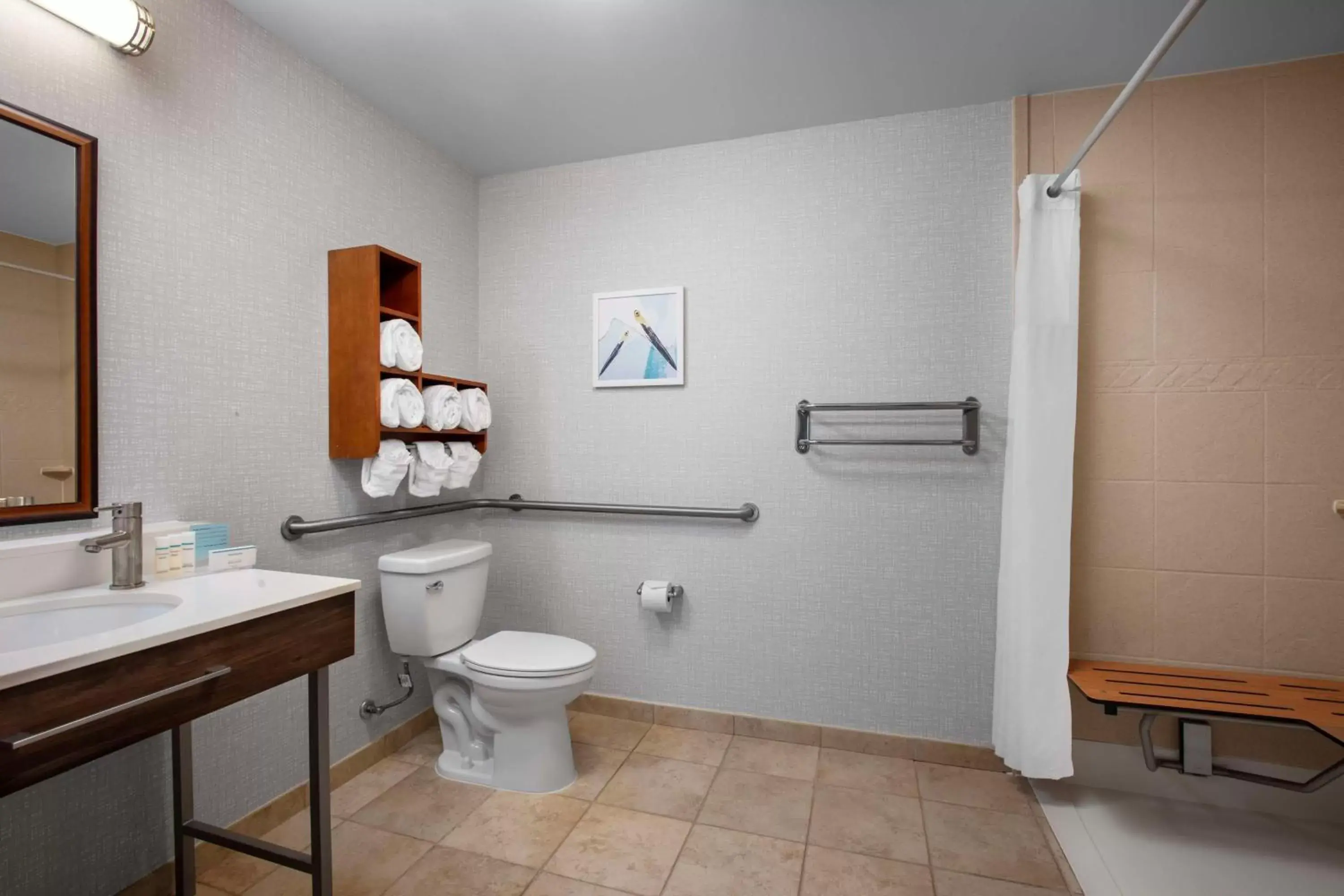 Bathroom in Hampton Inn & Suites Homestead Miami South