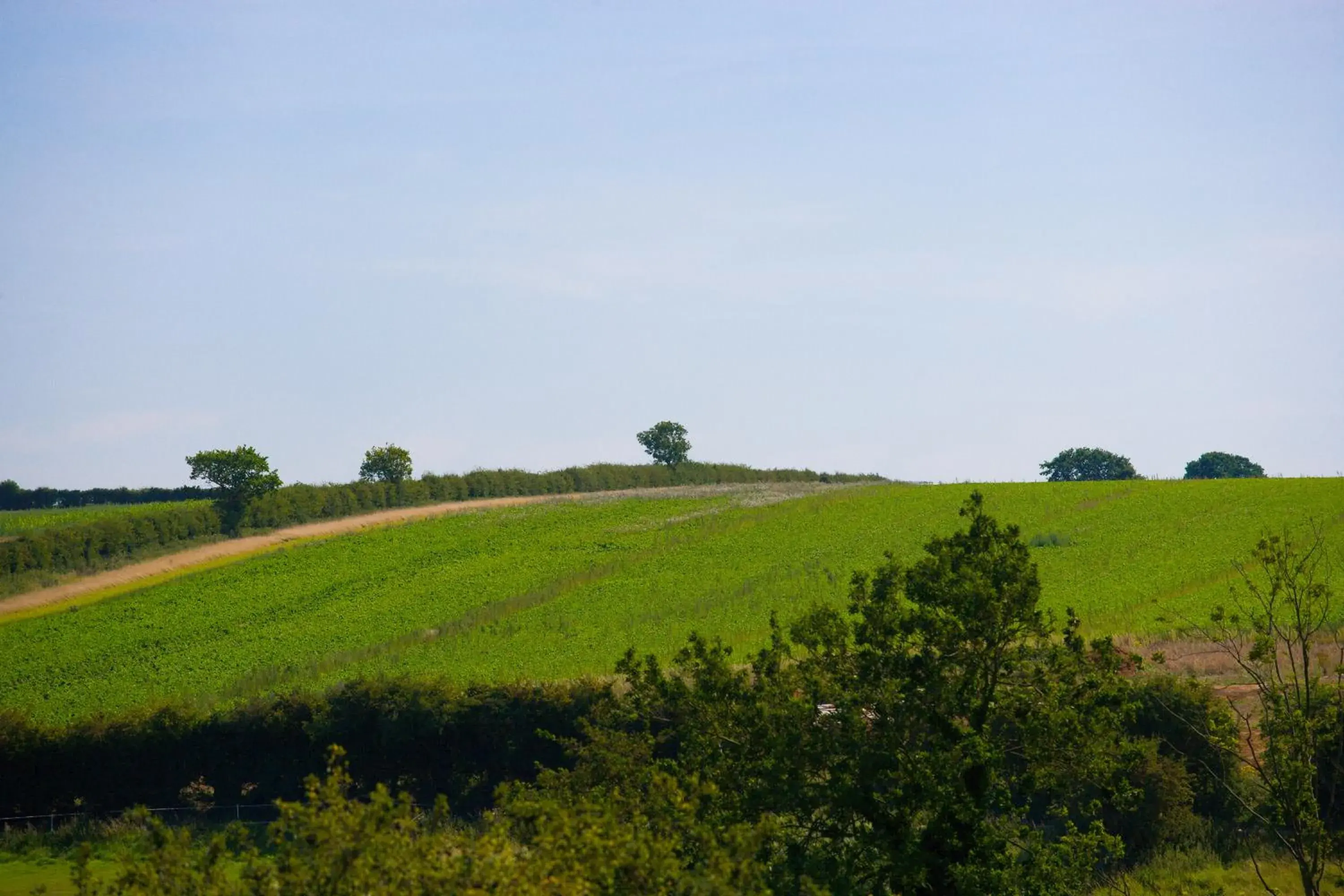 Area and facilities in The King William IV Country Inn & Restaurant