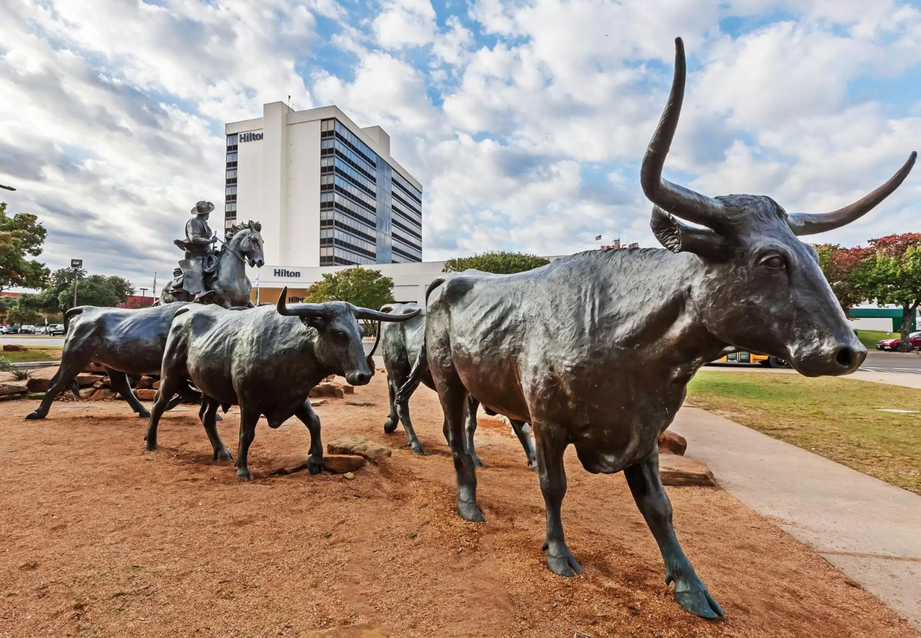 Property building, Other Animals in Hilton Waco